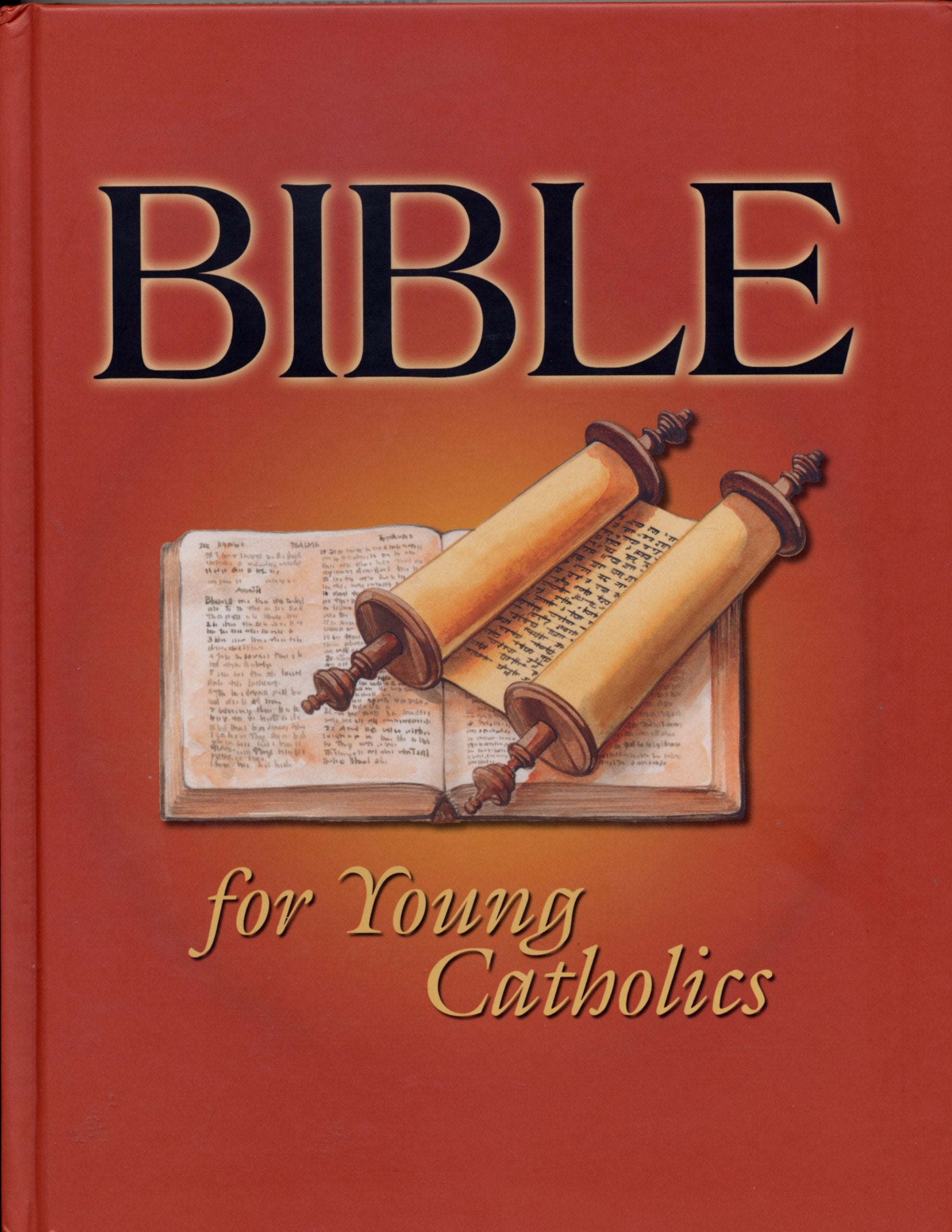 Bible for Young Catholics,New