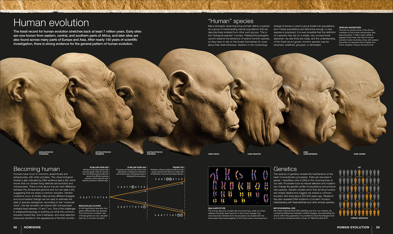 Evolution: The Human Story, 2Nd Edition