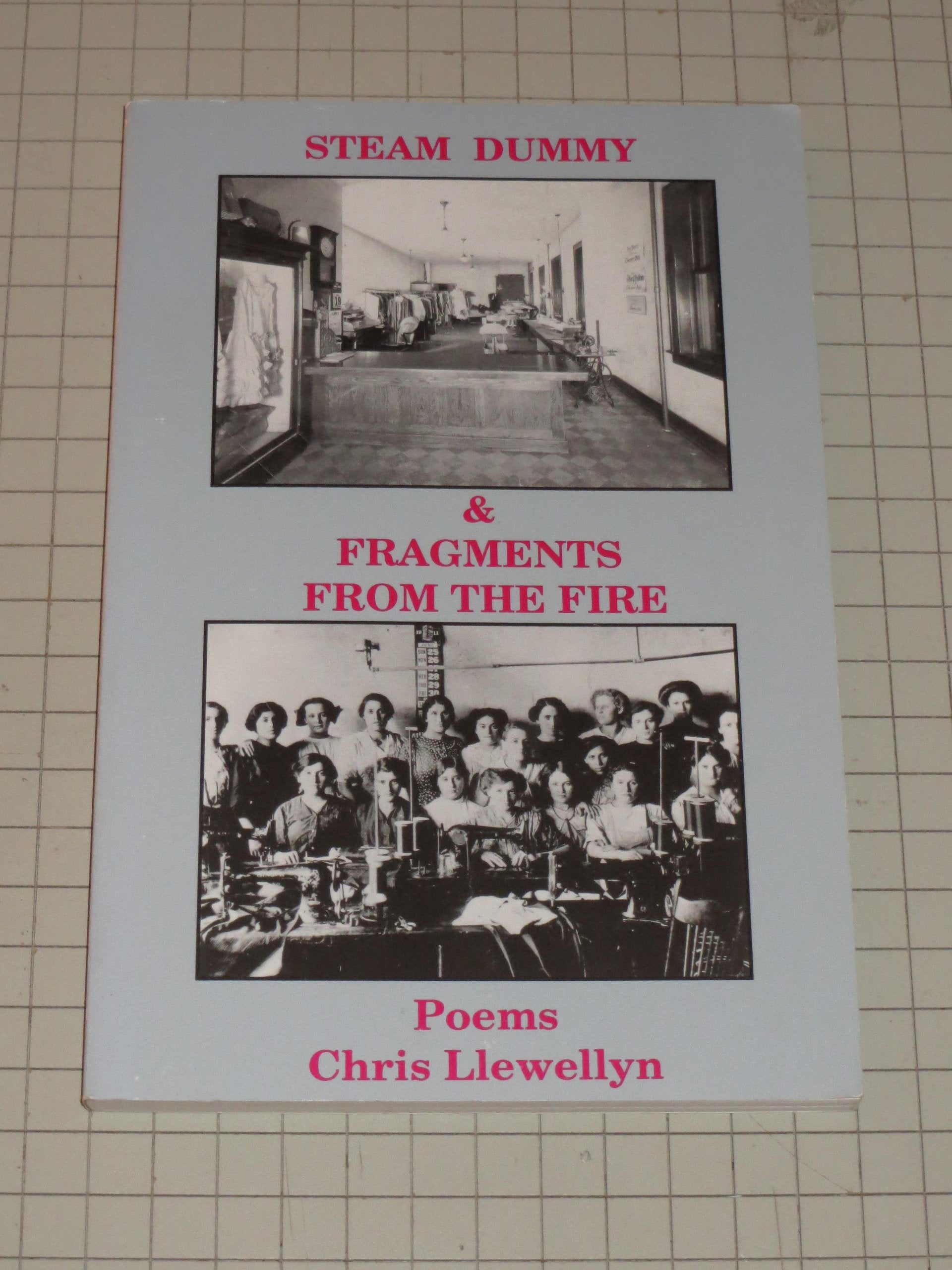 Steam Dummy & Fragments from the Fire: The Triangle Shirtwaist Company Fire of March 25, 1911 : Poems (Midwest Writers),Used