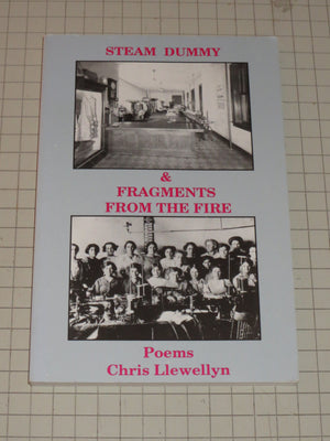 Steam Dummy & Fragments from the Fire: The Triangle Shirtwaist Company Fire of March 25, 1911 : Poems (Midwest Writers),Used