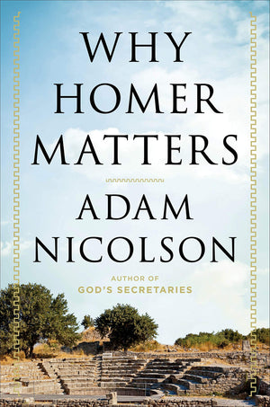 Why Homer Matters: A History,Used