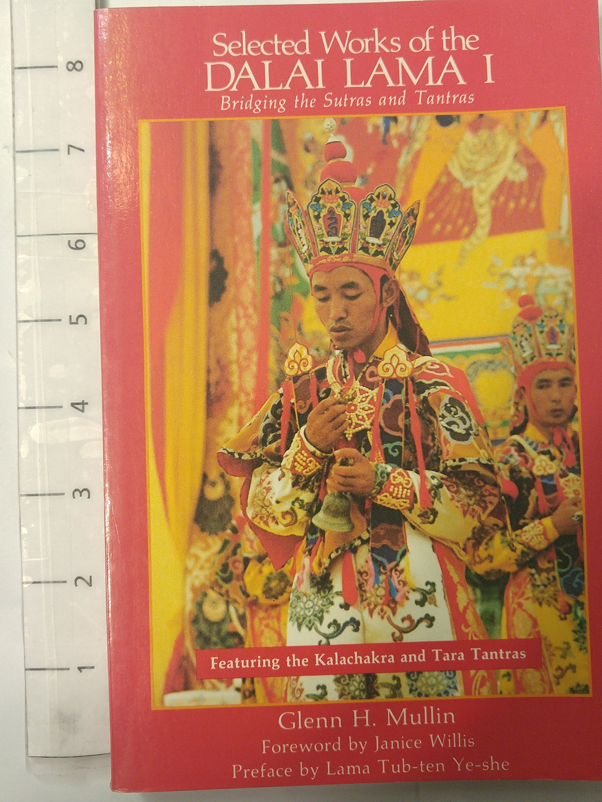 Selected Works of the Dalai Lama: Bridging the Sutras and Tantras (Teachings of the Dalai Lamas) (English and Tibetan Edition),Used