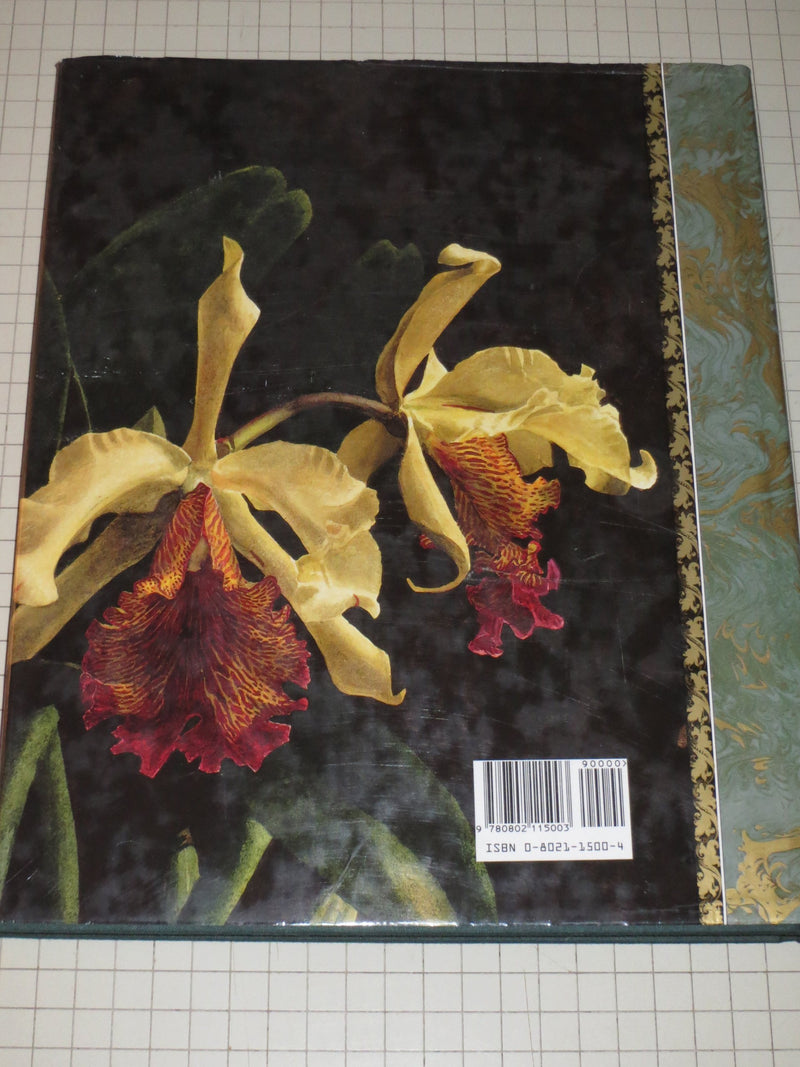 The Forgotten Orchids of Alexandre Brun,New