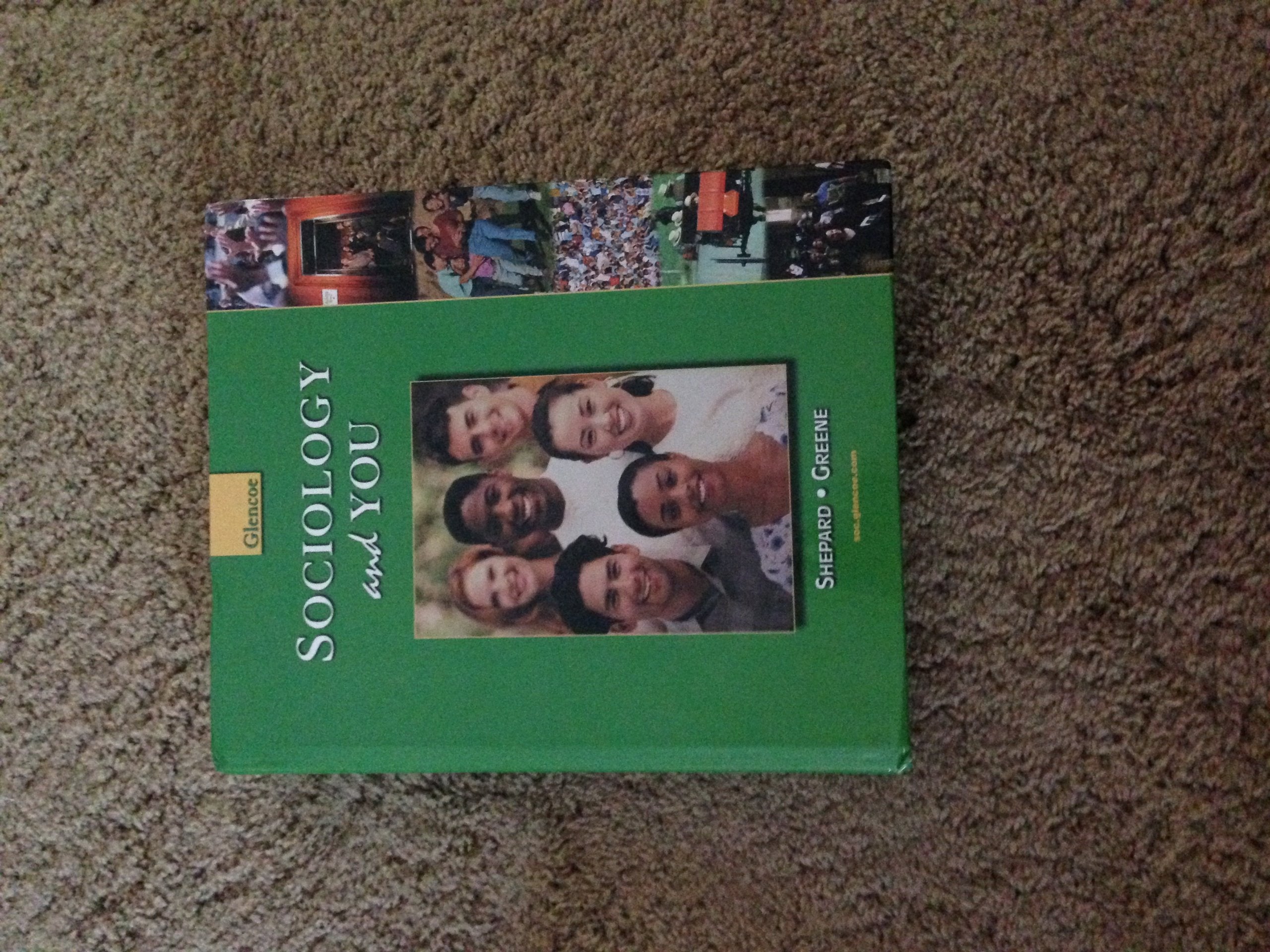 Sociology and You,New