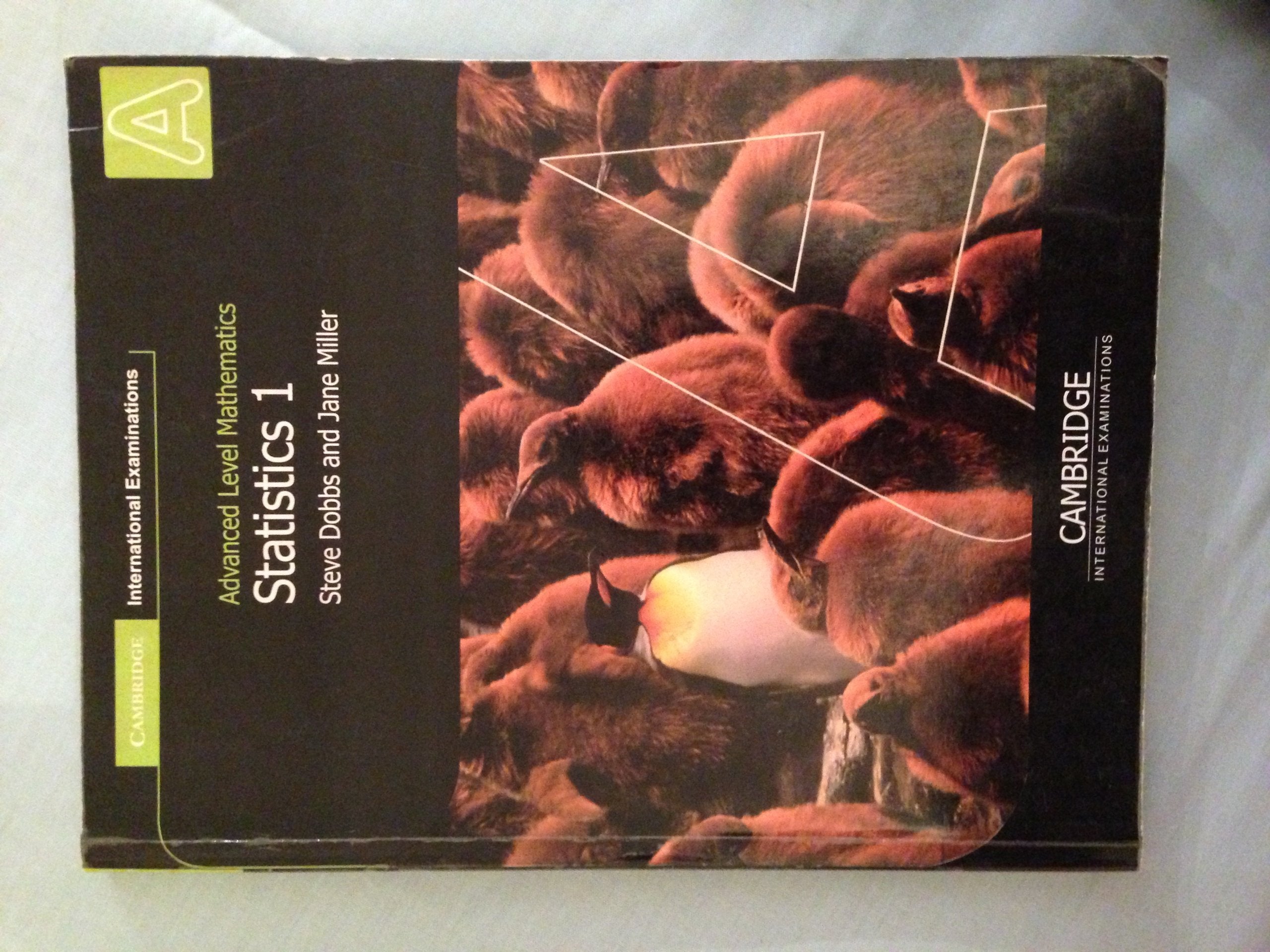 Statistics 1 (International),Used