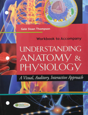 Workbook To Accompany Understanding Anatomy And Physiology: A Visual, Auditory, Interactive Approach,Used