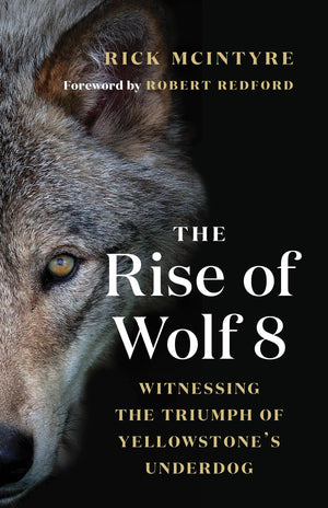 The Rise Of Wolf 8: Witnessing The Triumph Of Yellowstone'S Underdog (The Alpha Wolves Of Yellowstone, 1)