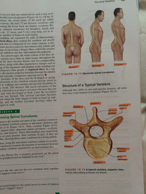 Human Anatomy & Physiology: Cat Version,Used