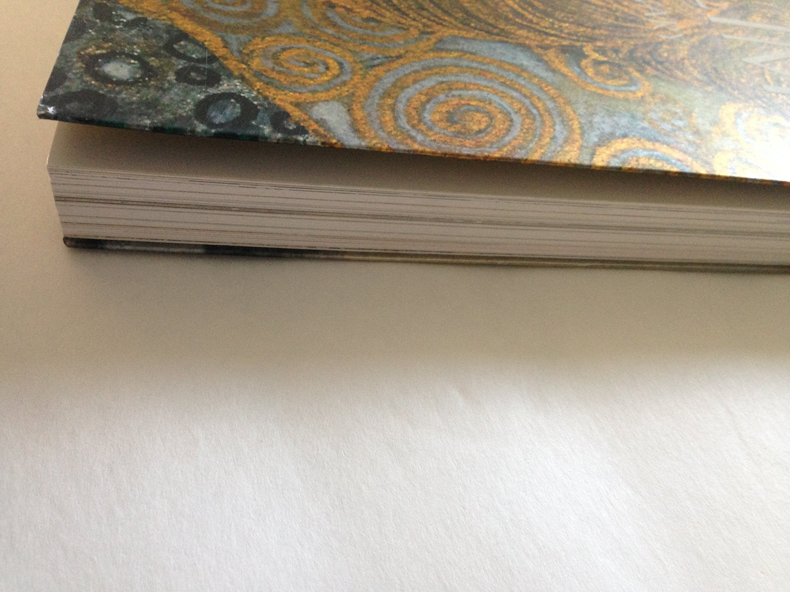 Gustav Klimt: Art Nouveau Visionary,Used