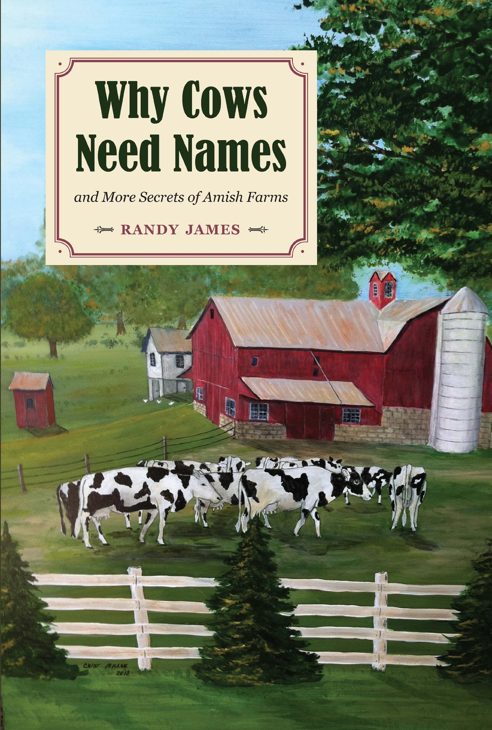 Why Cows Need Names: And More Secrets of Amish Farms,Used