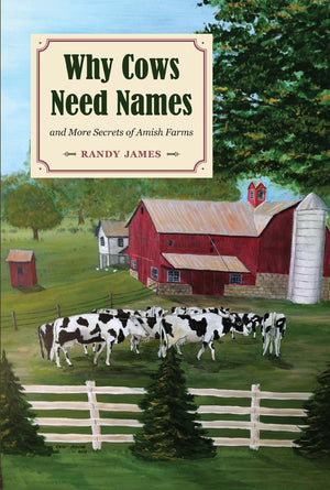 Why Cows Need Names: And More Secrets of Amish Farms,Used