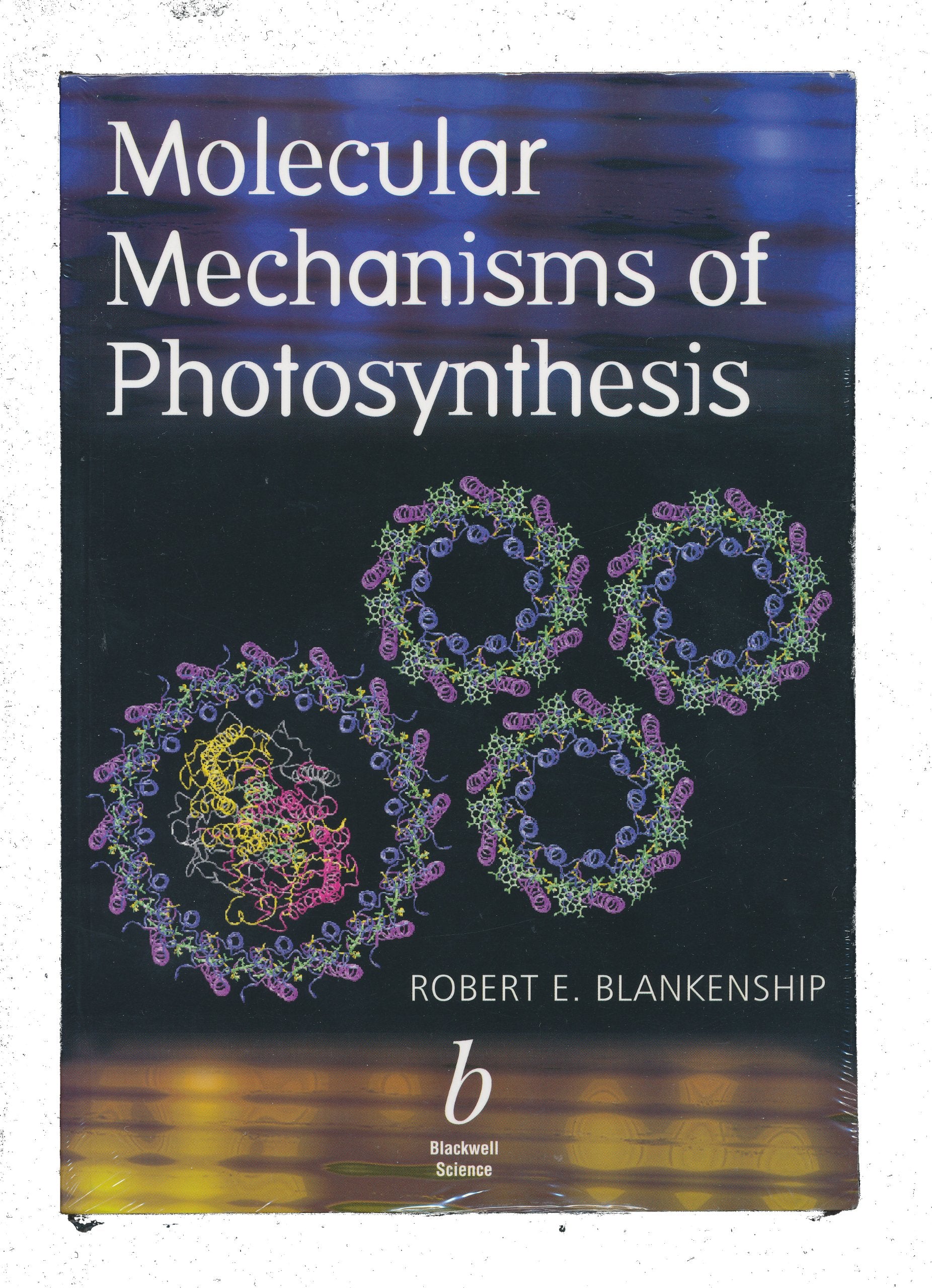 Molecular Mechanisms of Photosynthesis,Used