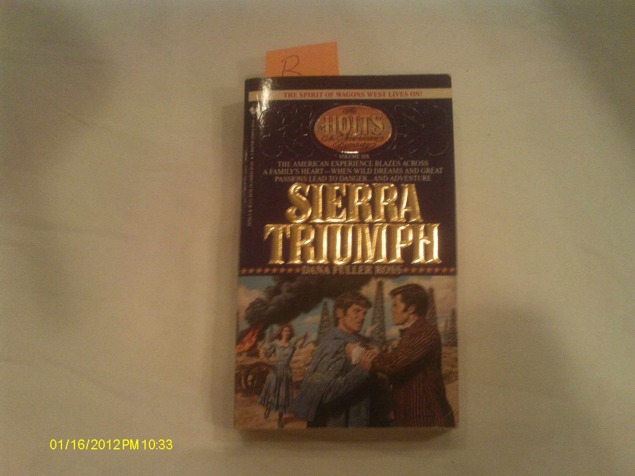 Sierra Triumph (The Holts: An American Dynasty),Used