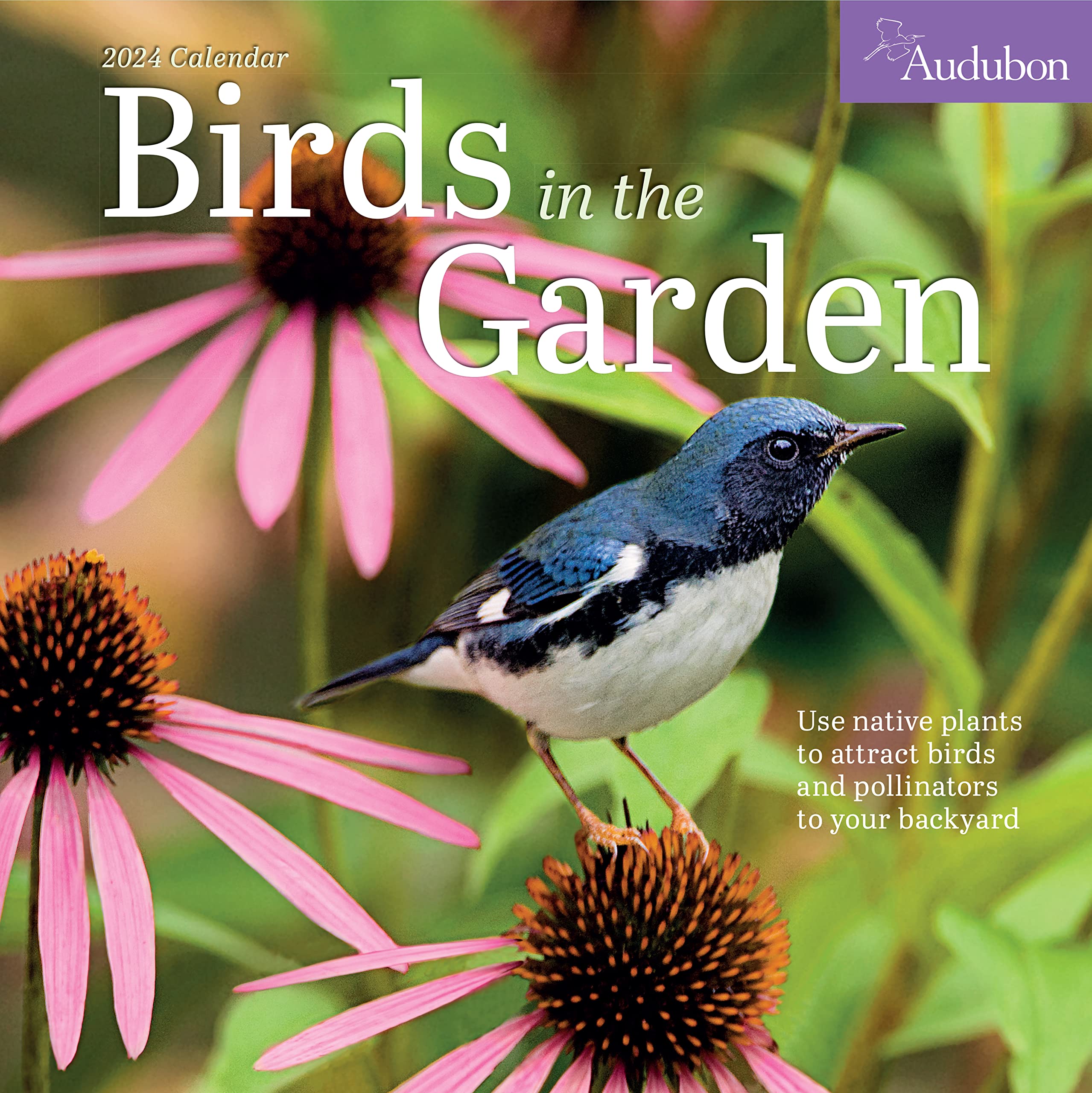 Audubon Birds In The Garden Wall Calendar 2024: Use Native Plants To Attract Birds And Pollinators To Your Backyard