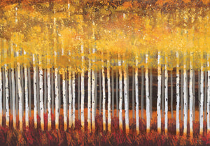 Golden Aspens Note Cards (Stationery, Boxed Cards),Used