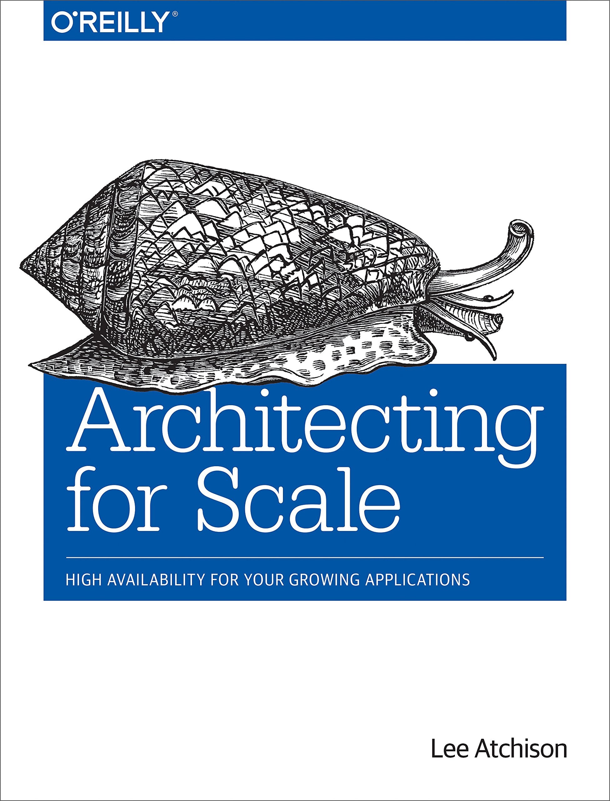Architecting for Scale: High Availability for Your Growing Applications,Used