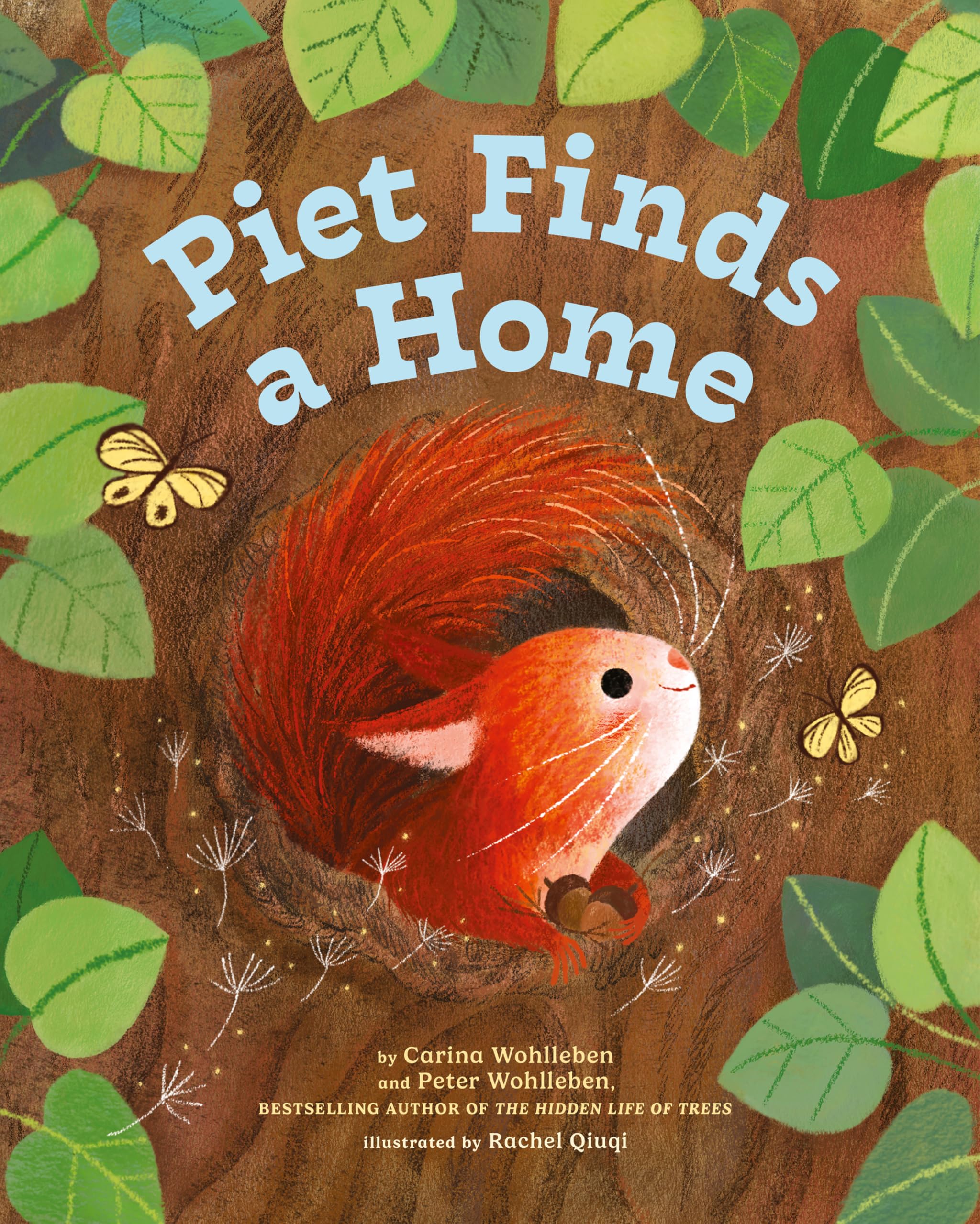 Piet Finds A Home (Peter And Piet, 2)