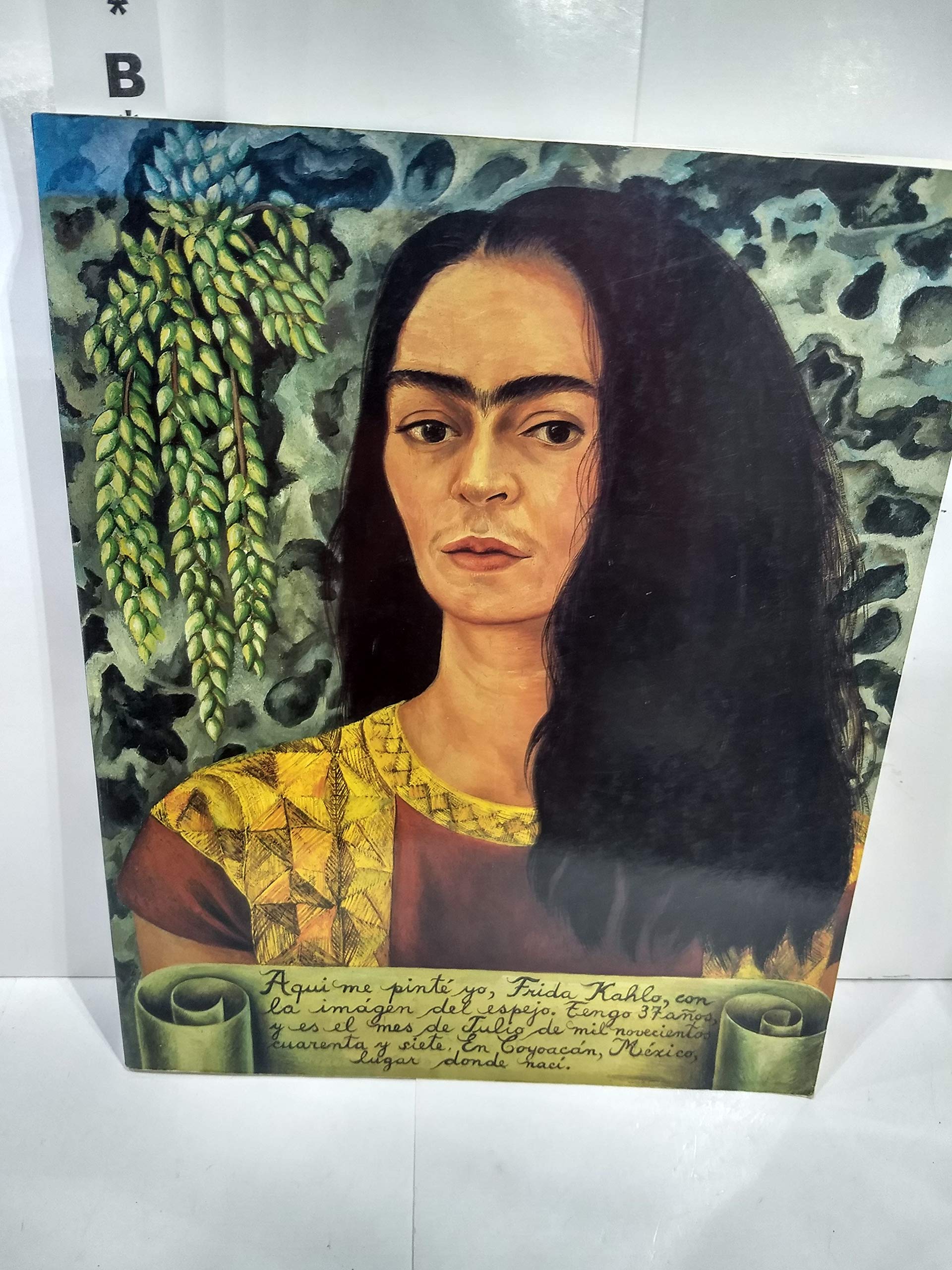 The World of Frida Kahlo: The Blue House,New