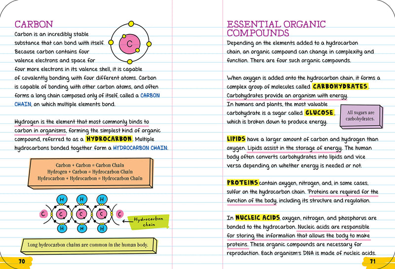 Everything You Need To Ace Biology In One Big Fat Notebook (Big Fat Notebooks)
