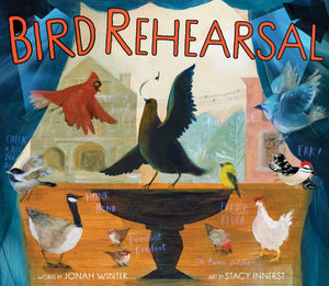 Bird Rehearsal: A Picture Book,New