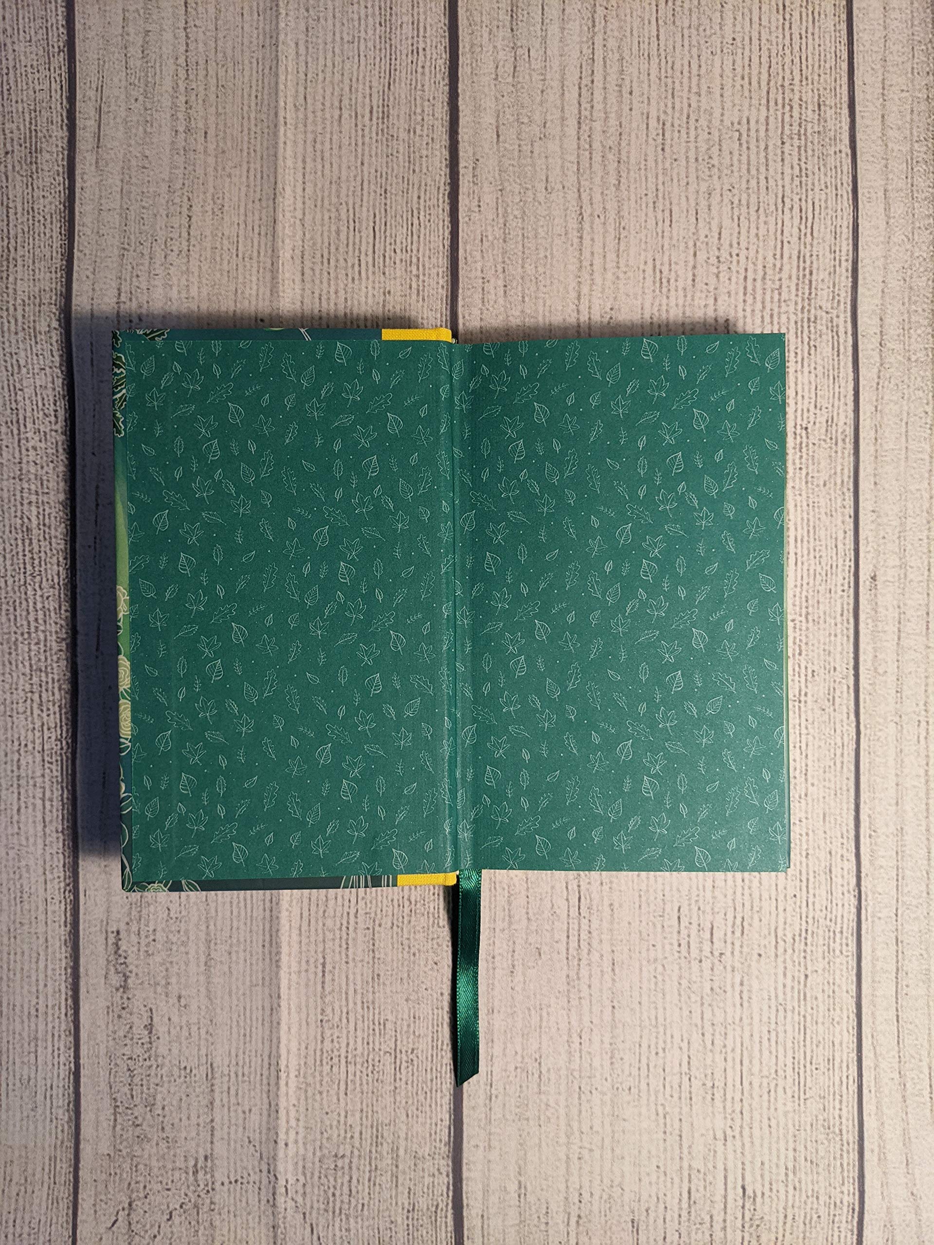 Green Shades,Used