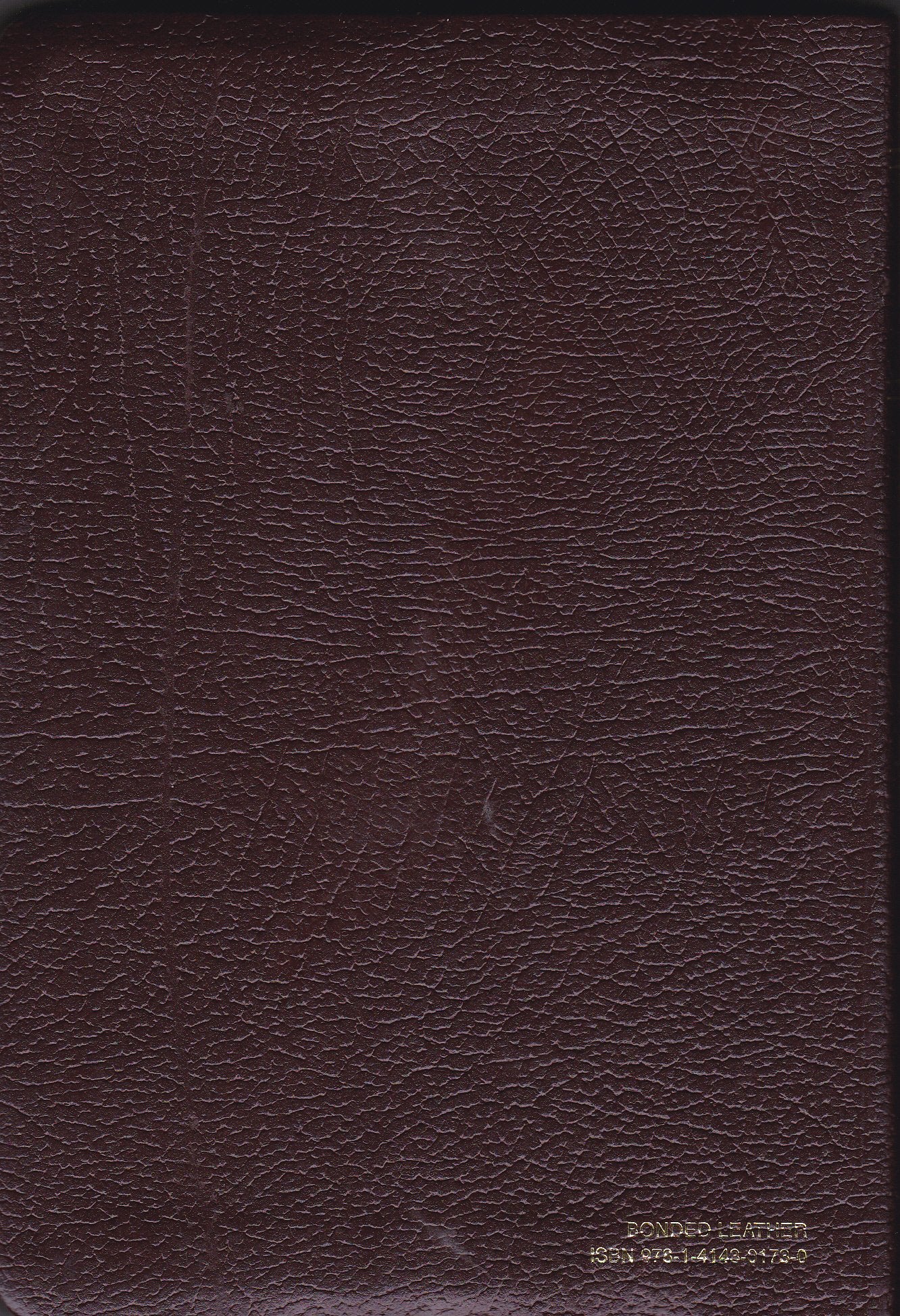 Compact Gift Bible Nlt (Bonded Leather, Burgundy/Maroon)