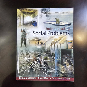 Understanding Social Problems  Standalone Book