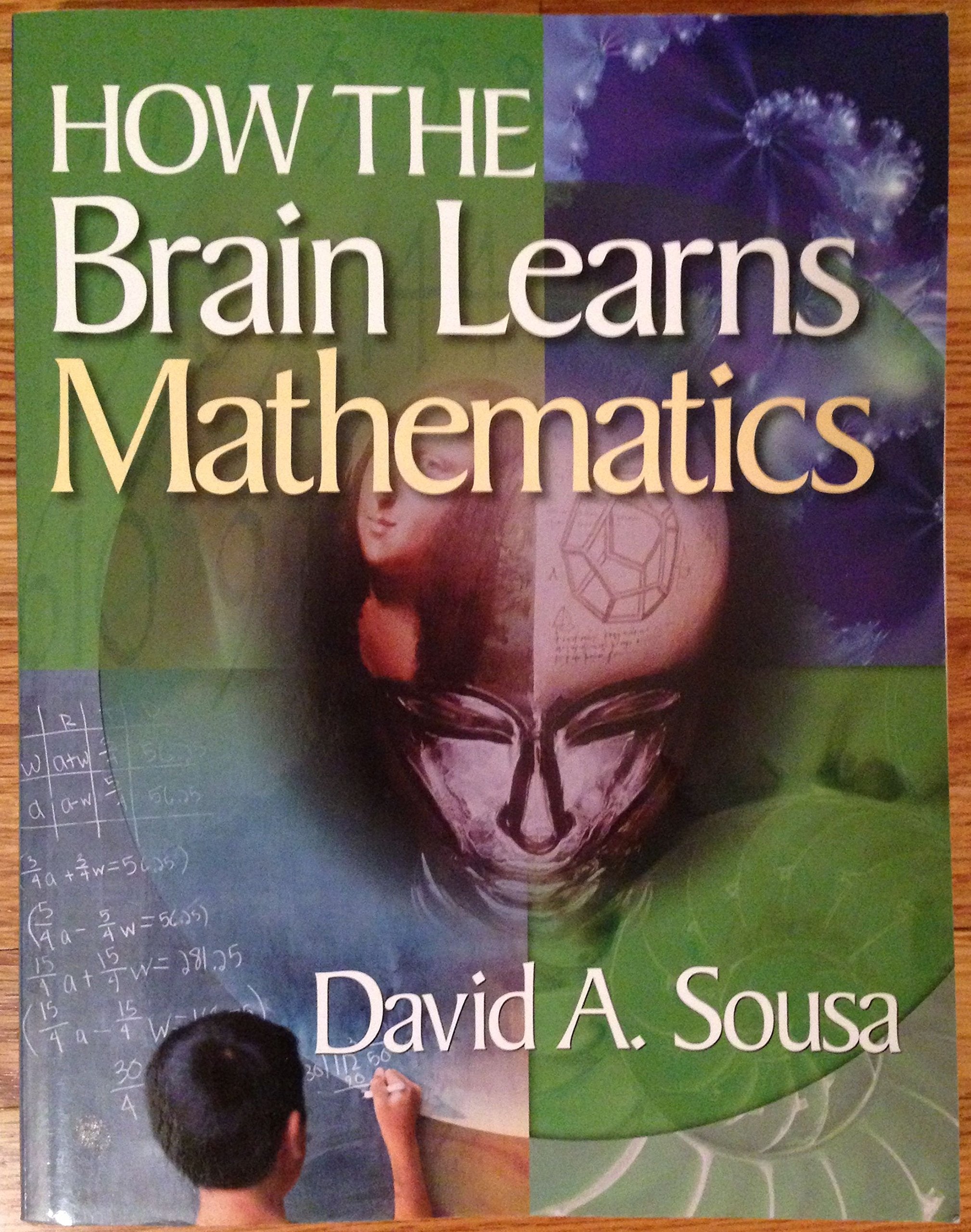 How the Brain Learns Mathematics,New