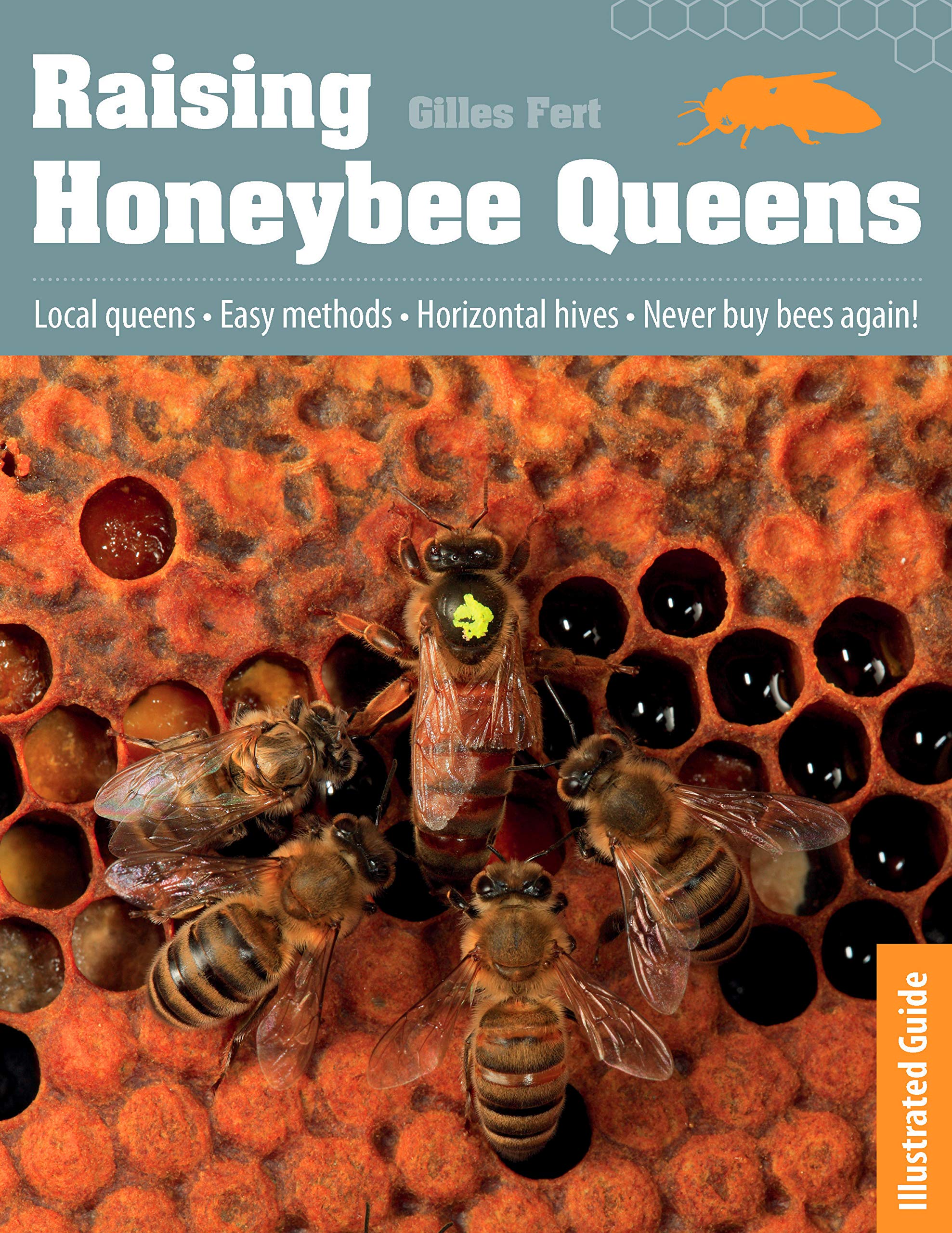 Raising Honeybee Queens: An Illustrated Guide To Success-used