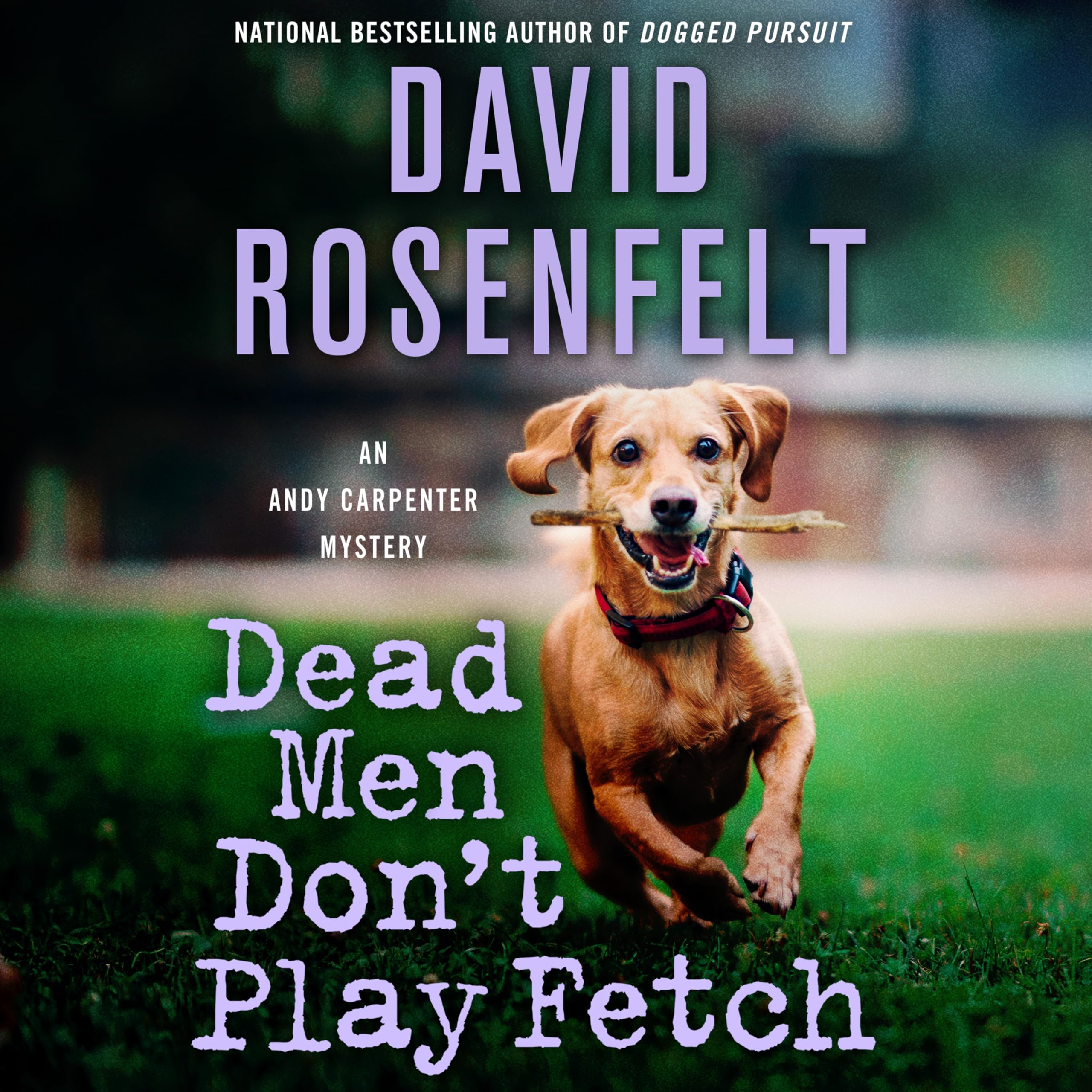Dead Men DonT Play Fetch: An Andy Carpenter Mystery (An Andy Carpenter Novel, 33)