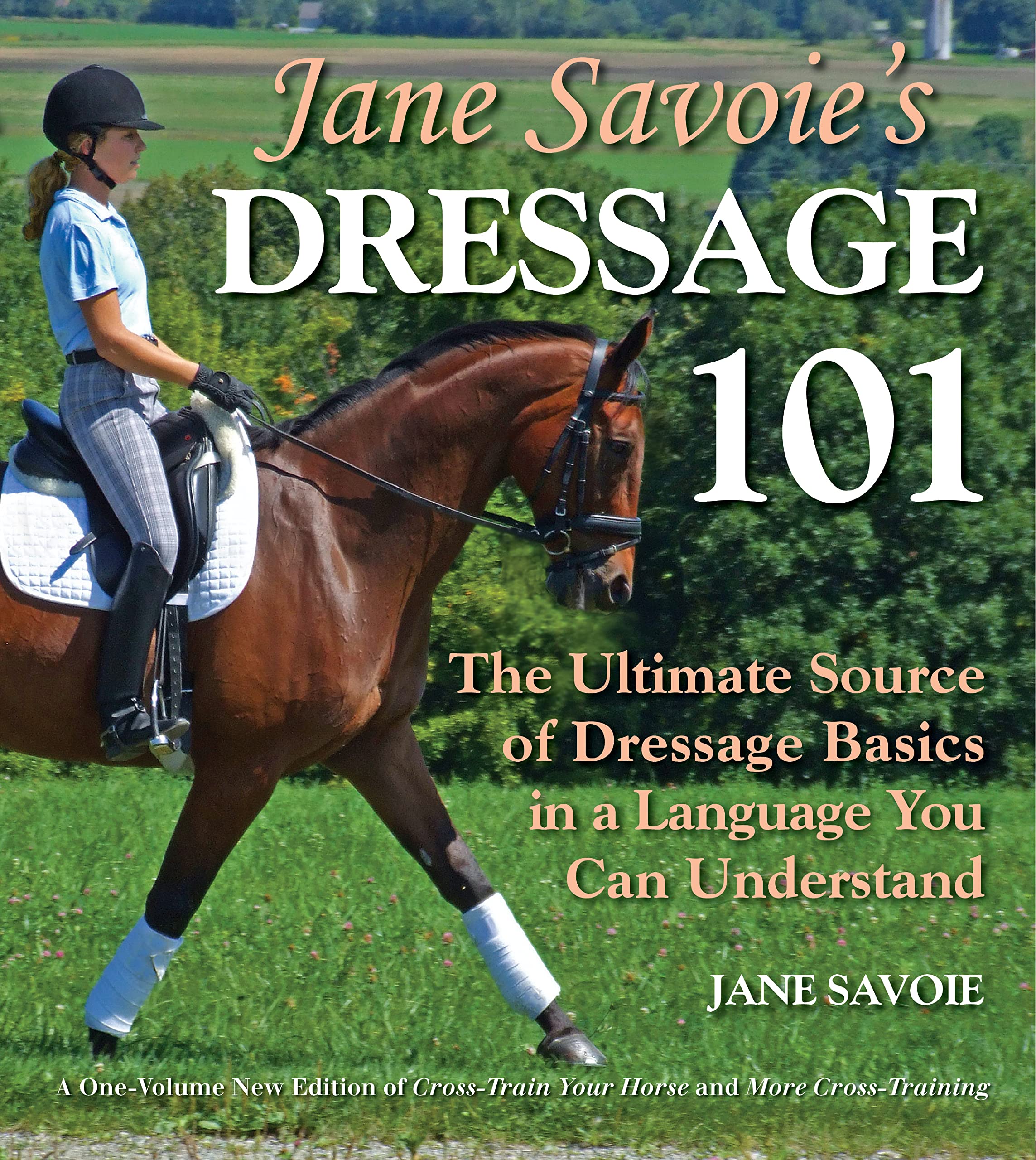 Jane Savoie's Dressage 101: The Ultimate Source of Dressage Basics in a Language You Can Understand,Used