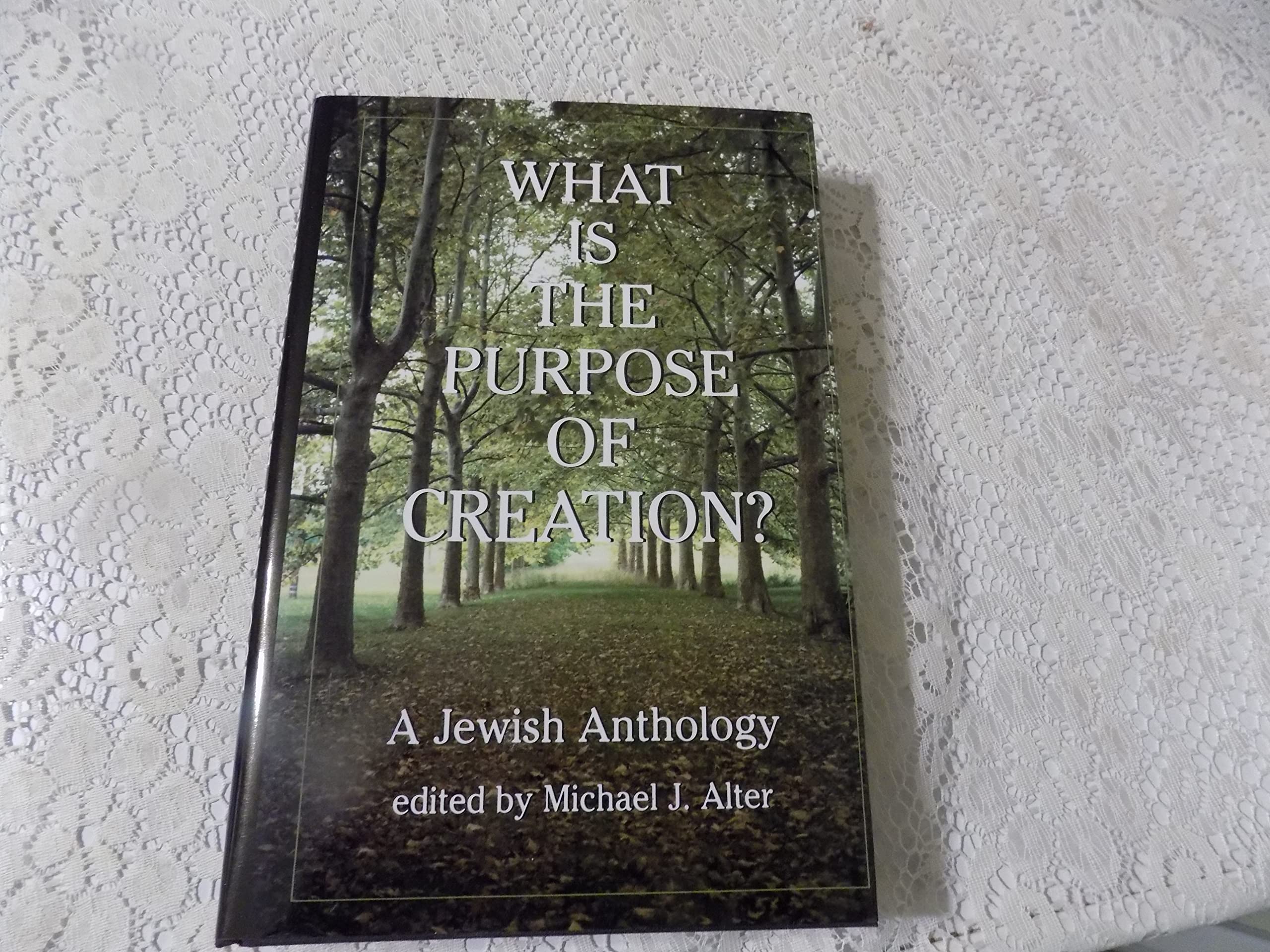 What Is the Purpose of Creation: A Jewish Anthology,Used