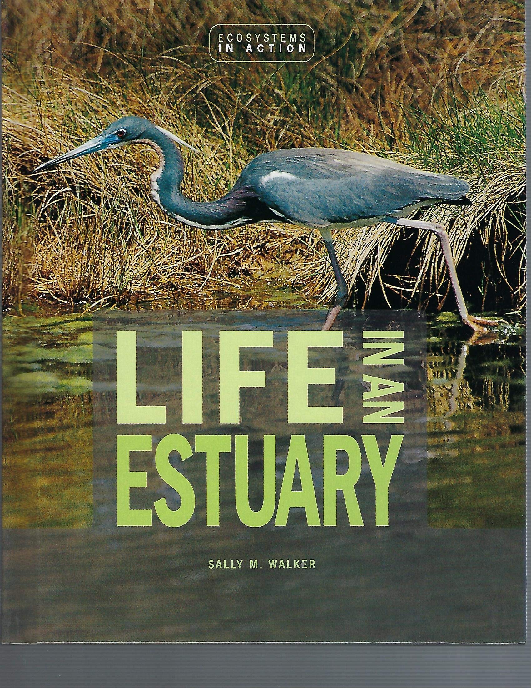 Life In An Estuary: The Chesapeake Bay (Ecoystems In Action),New