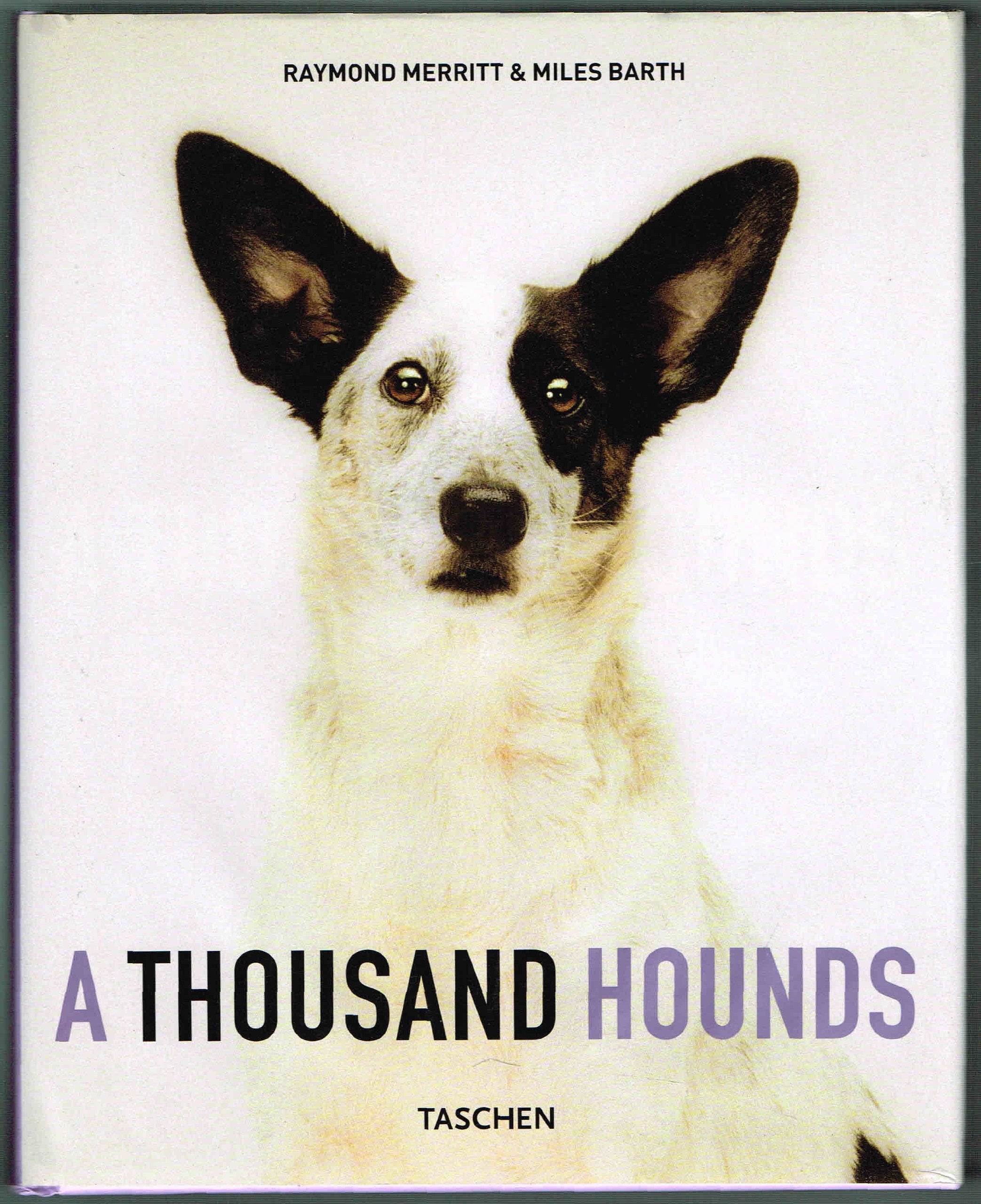 A Thousand Hounds,New