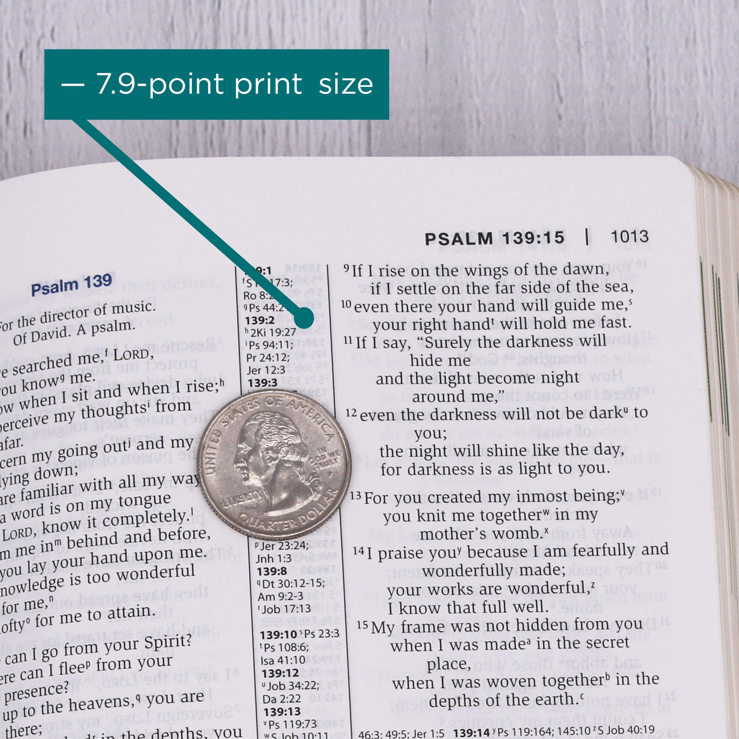 NIV Study Bible, Personal Size, Paperback, Red Letter Edition,Used