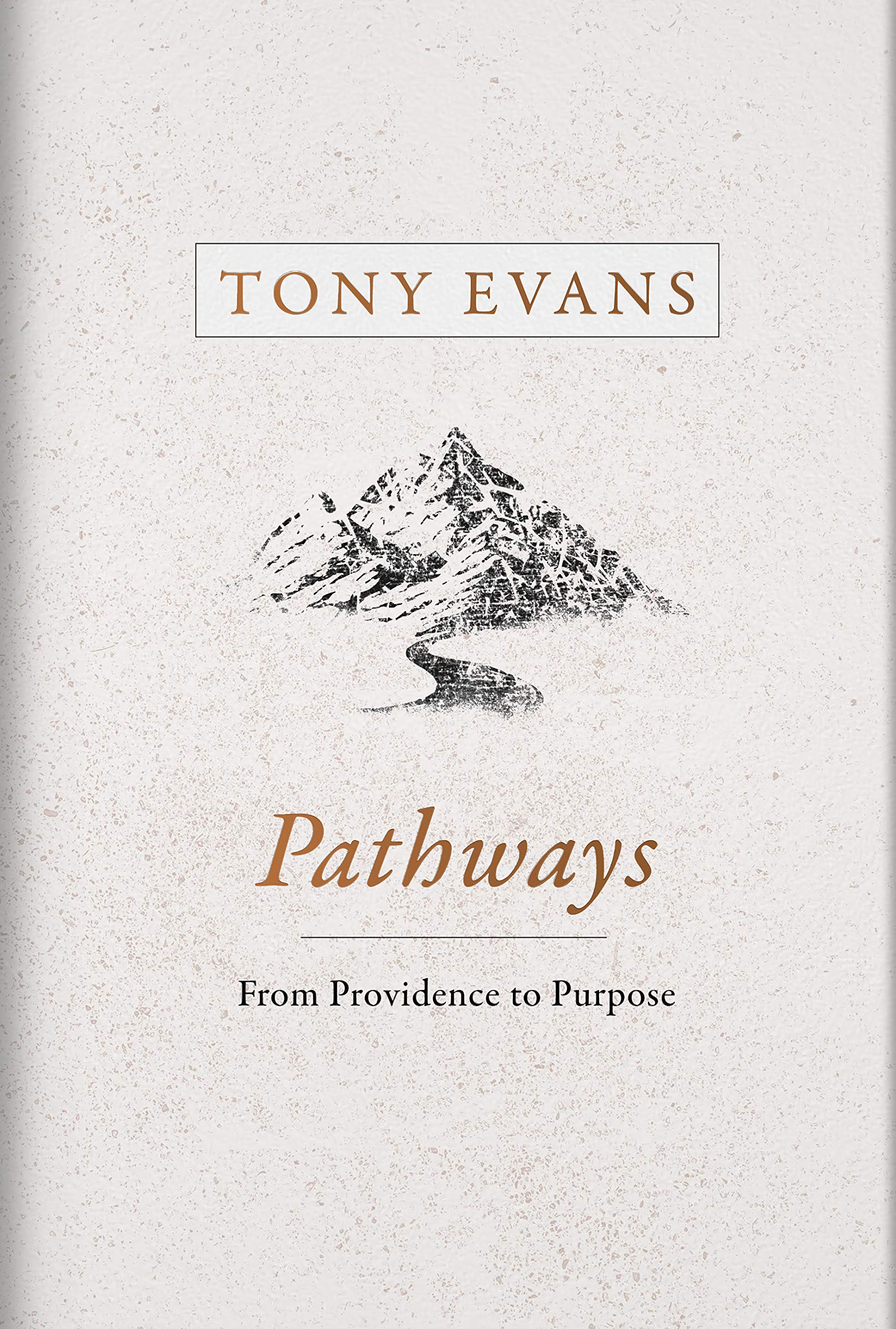 Pathways: From Providence to Purpose,Used