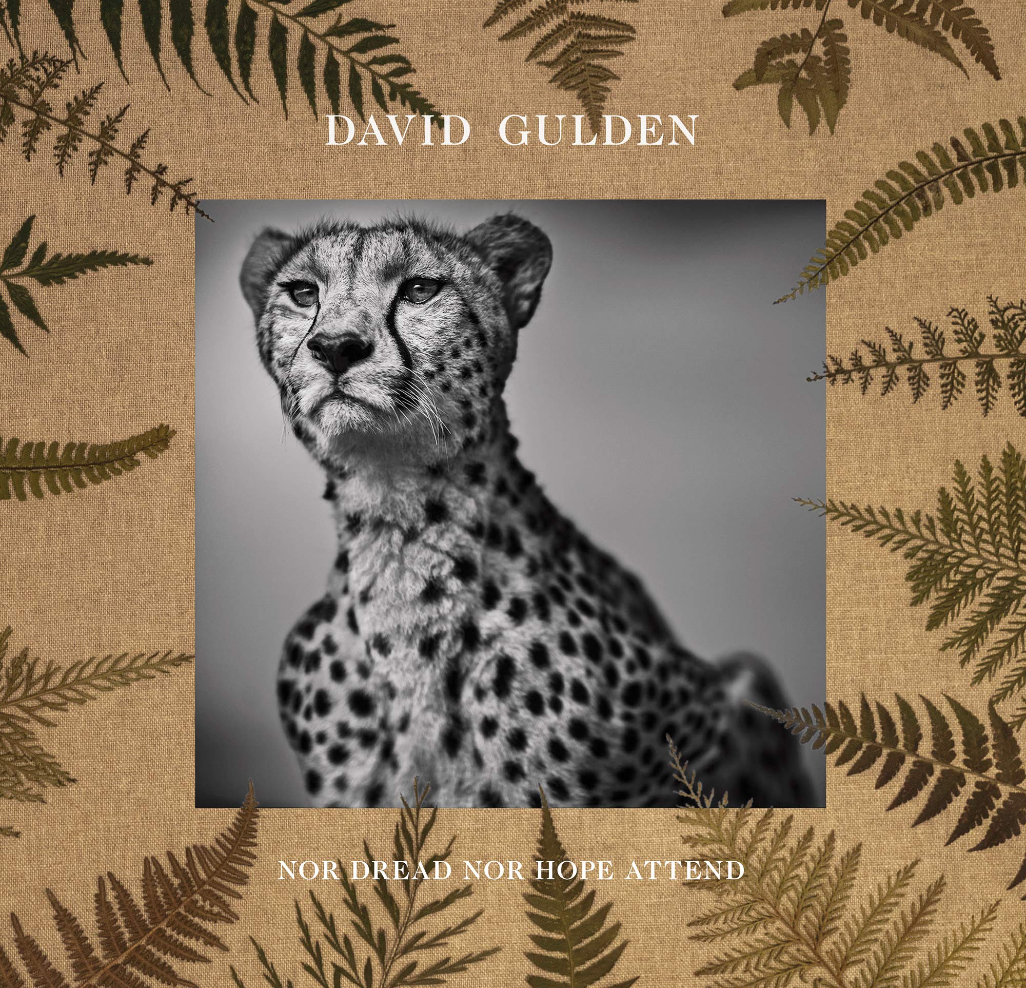 David Gulden: Nor Dread Nor Hope Attend: Photographs from the Plains of Africa,Used