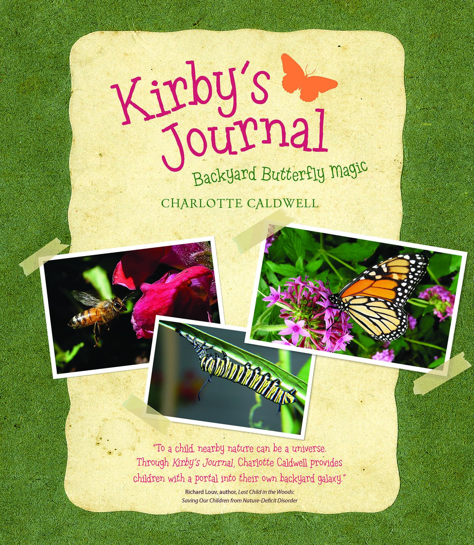 Kirby's Journal: Backyard Butterfly Magic (Young Palmetto Books),Used