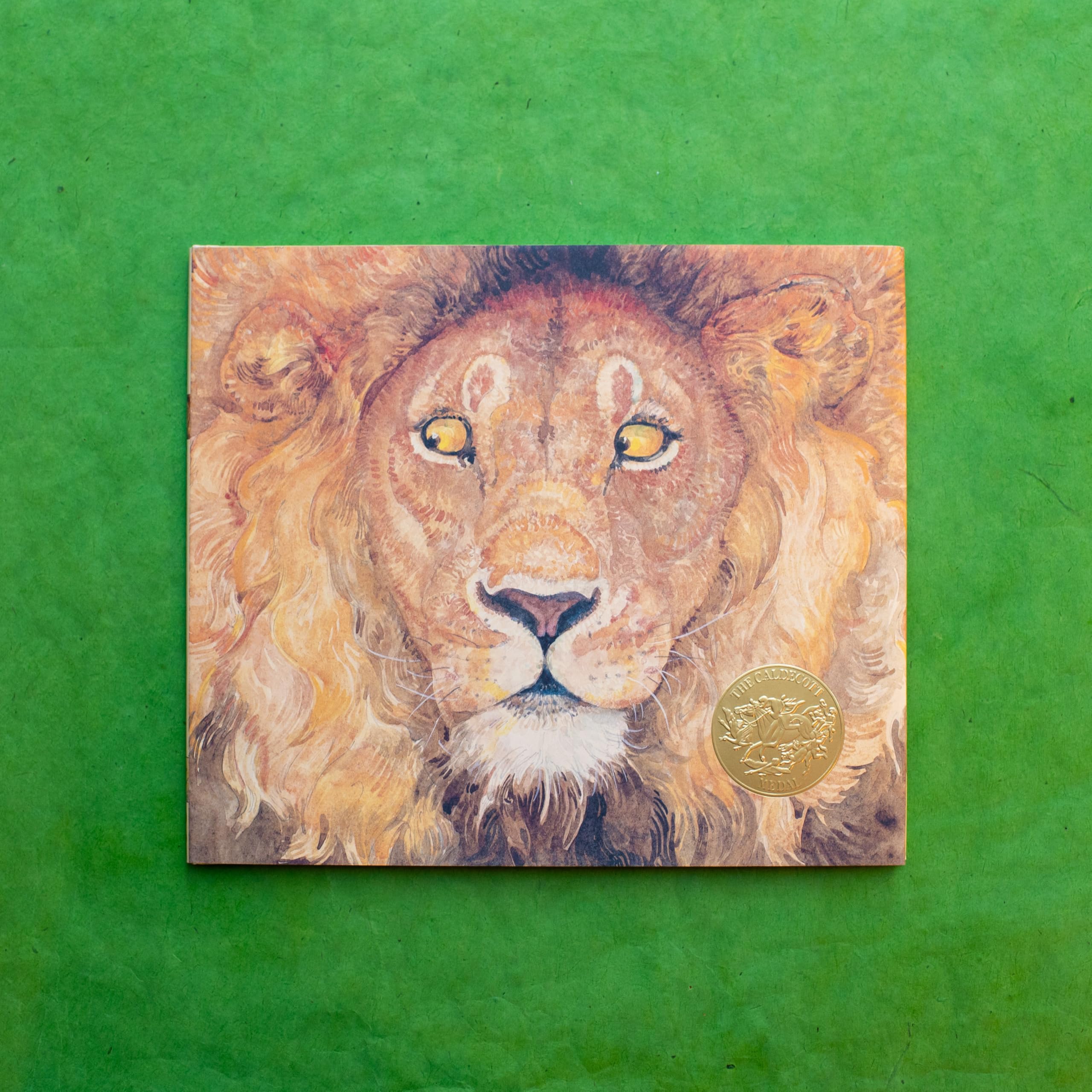 The Lion & the Mouse (Caldecott Medal Winner),Used