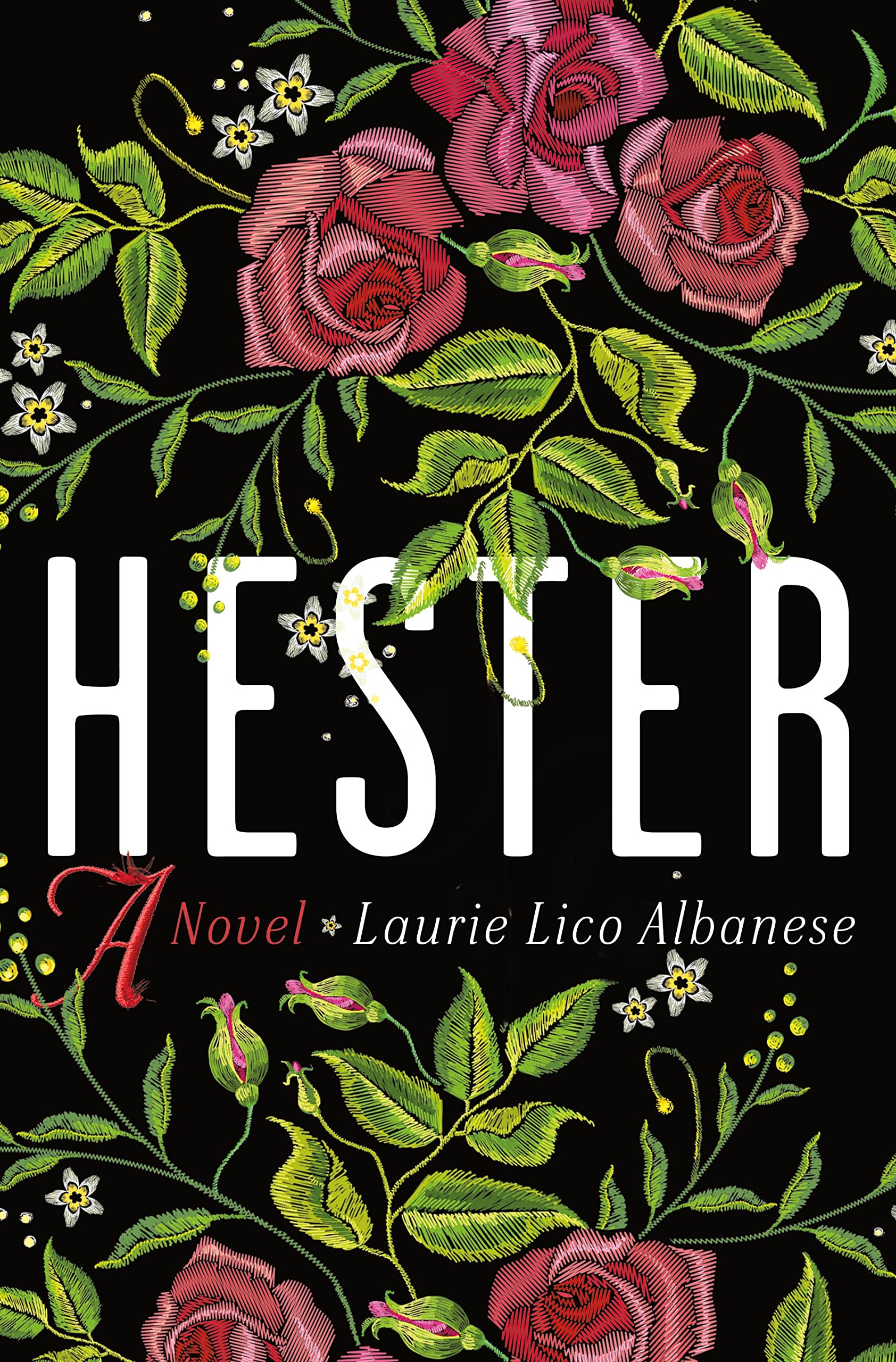Hester: A Novel,Used