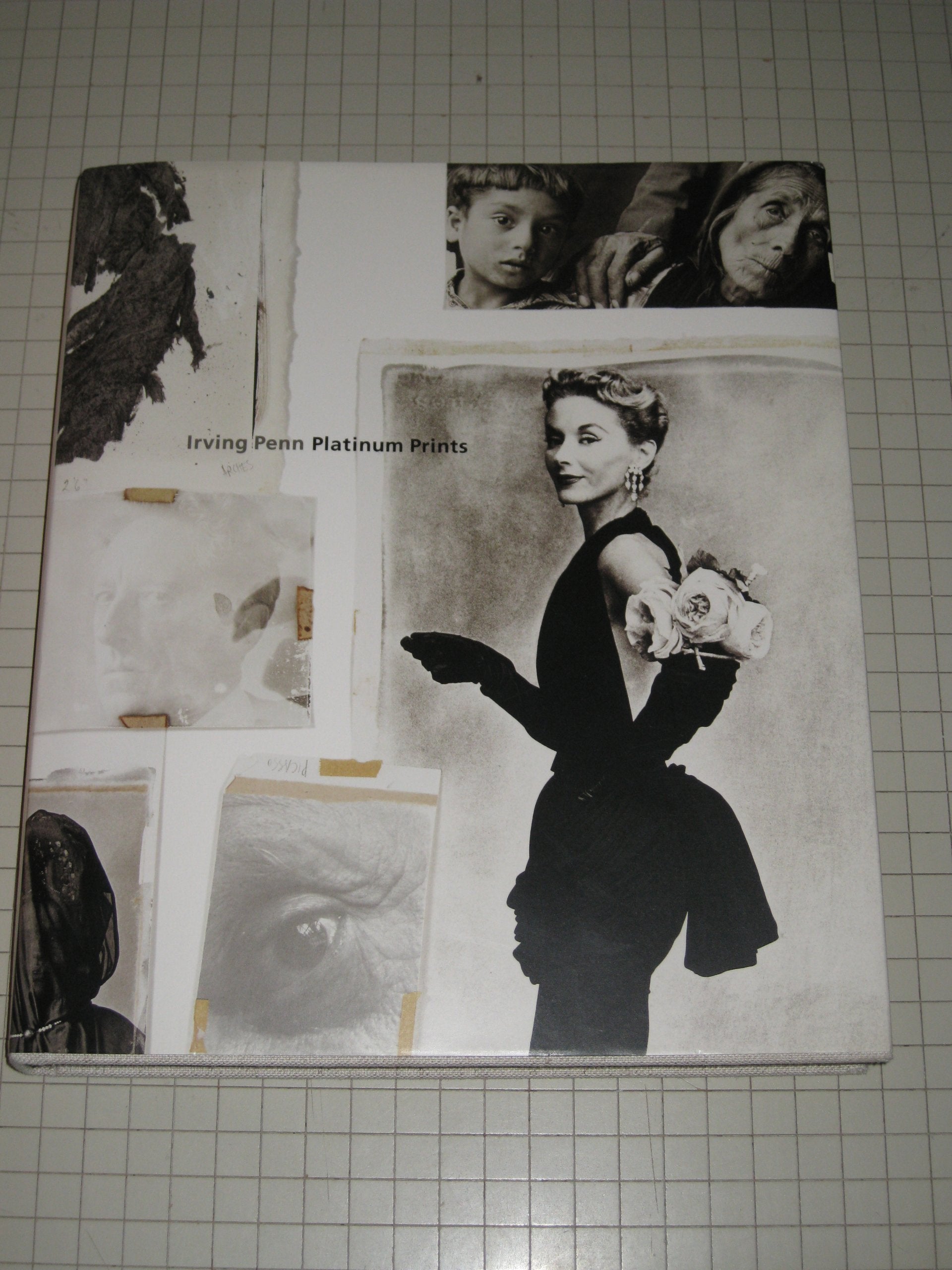 Irving Penn: Platinum Prints