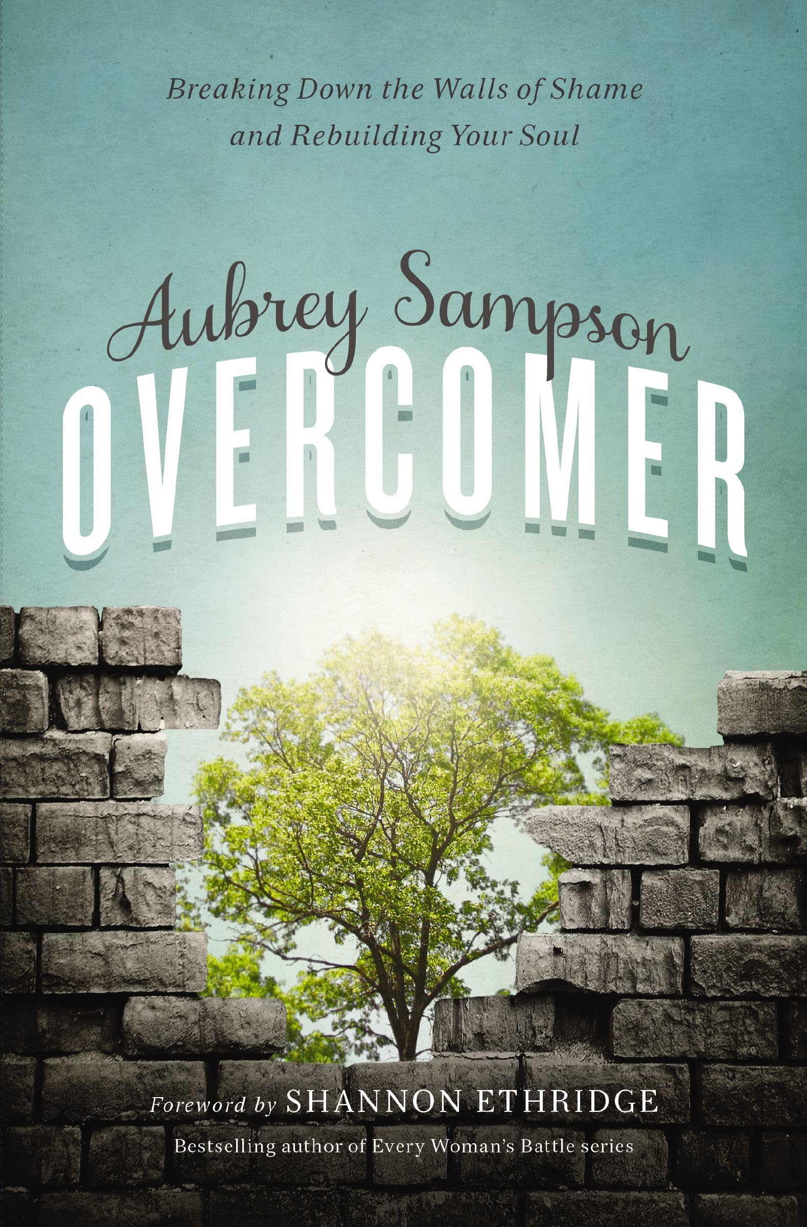 Overcomer: Breaking Down The Walls Of Shame And Rebuilding Your Soul,New