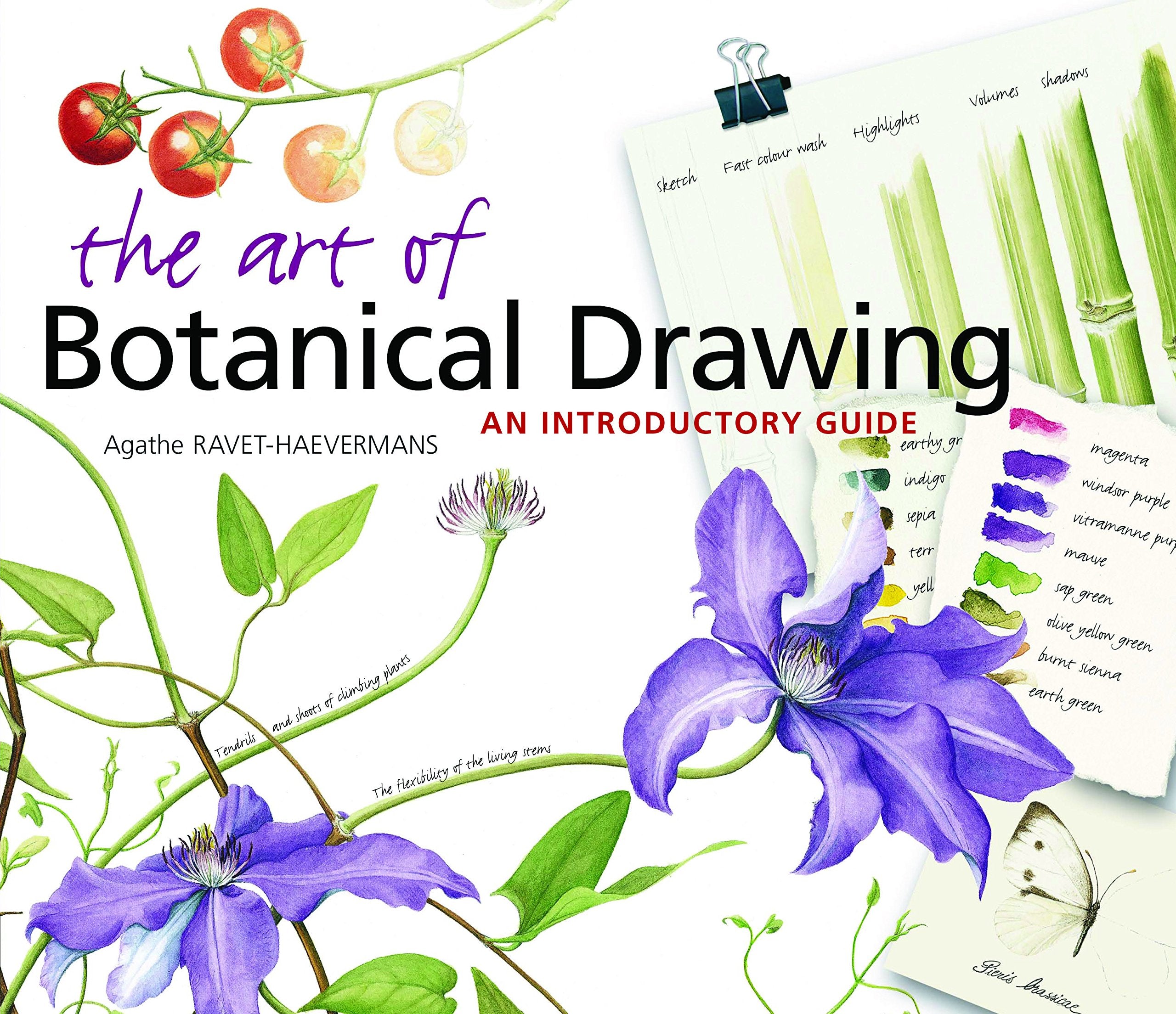 The Art Of Botanical Drawing: An Introductory Guide