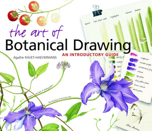 The Art Of Botanical Drawing: An Introductory Guide