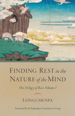 Finding Rest in the Nature of the Mind: The Trilogy of Rest, Volume 1 (Trilogy of Rest, 1),Used