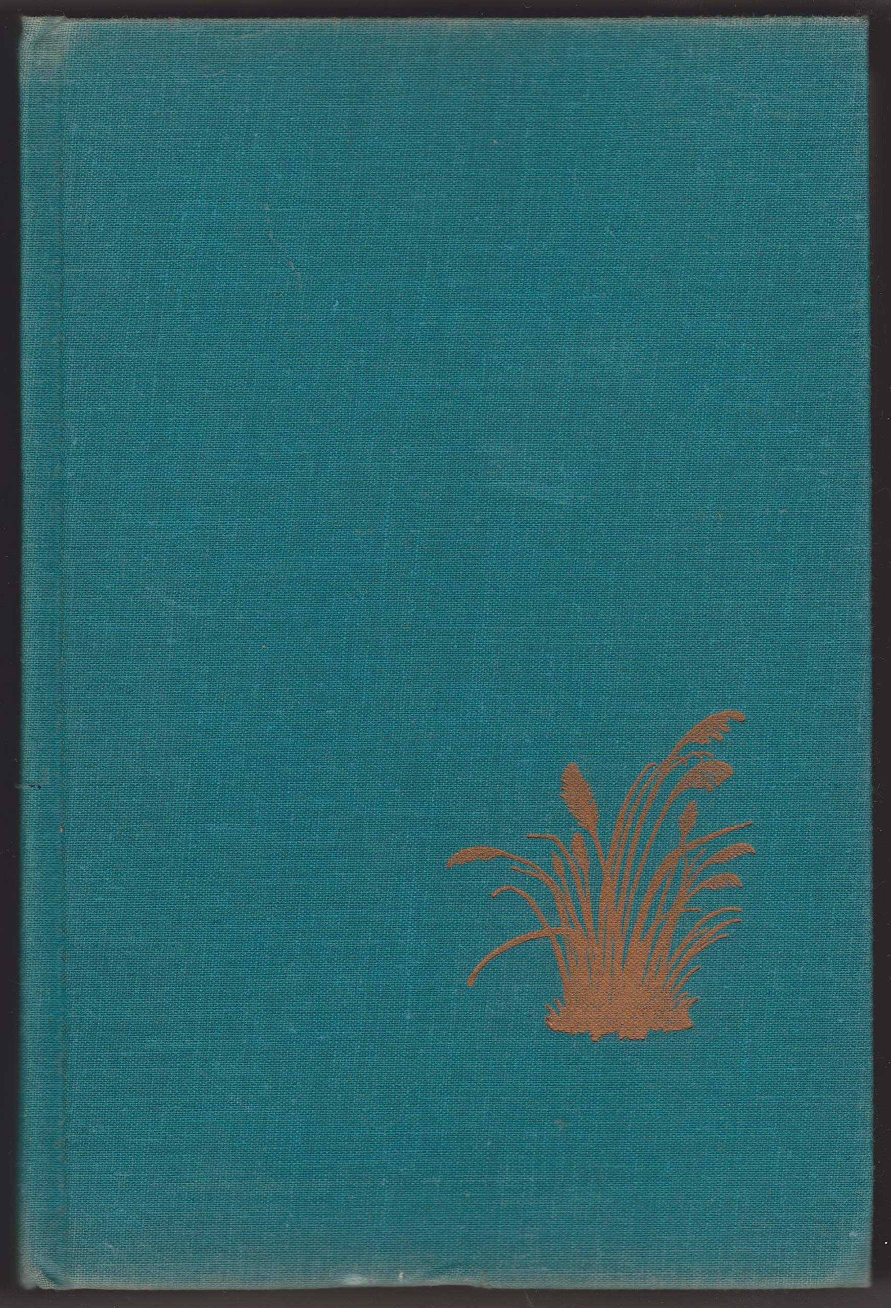 Chesapeake,Used