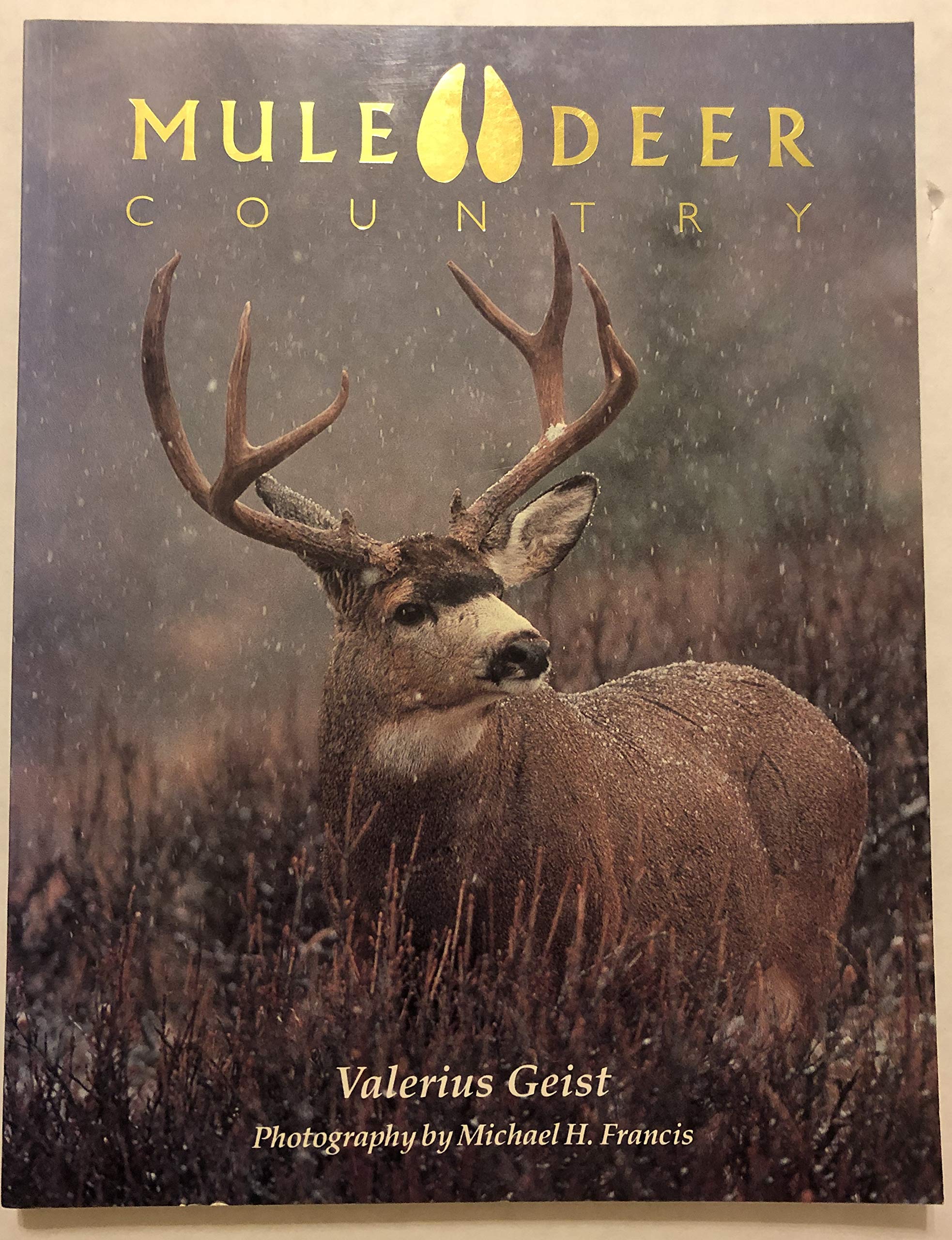 Mule Deer Country