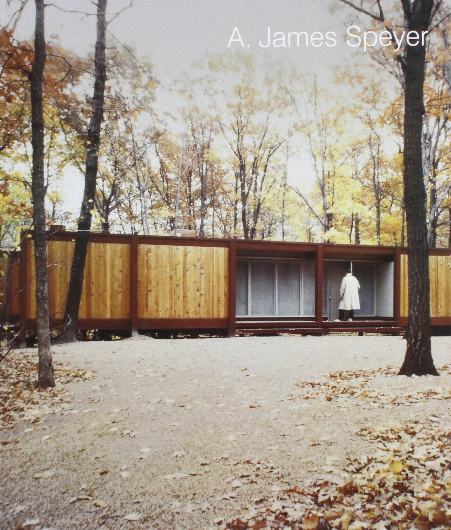 A. James Speyer: Architect, Curator, Exhibition Designer,Used