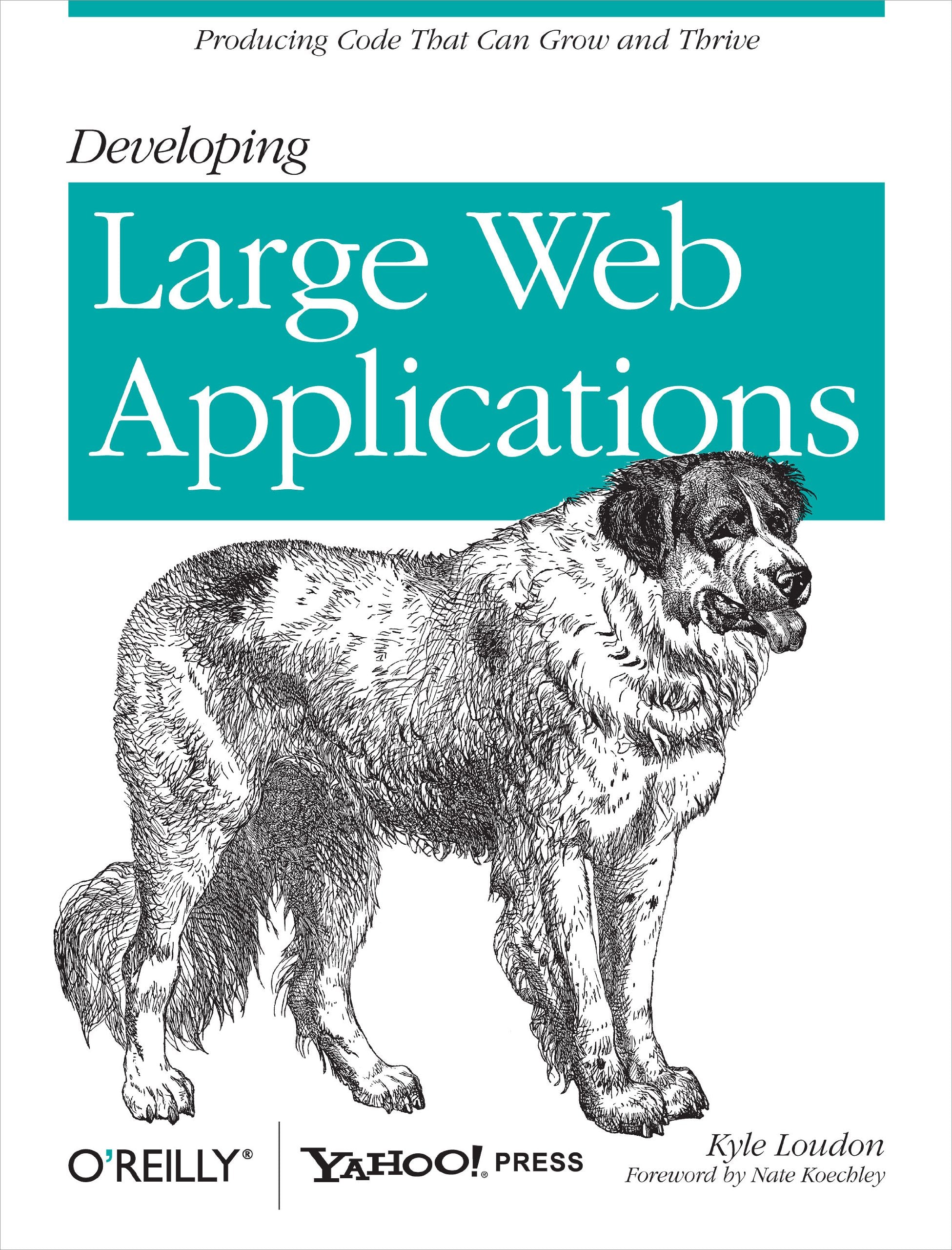 Developing Large Web Applications: Producing Code That Can Grow and Thrive,Used