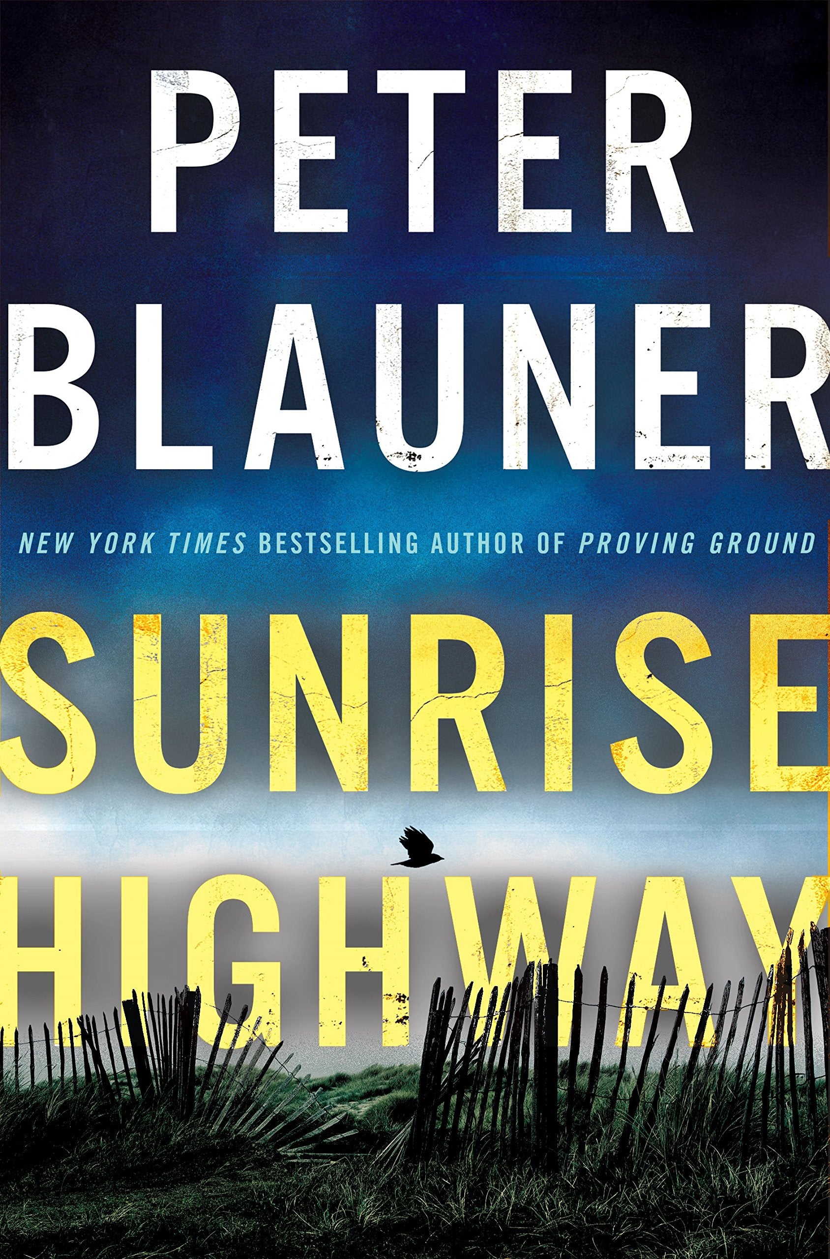 Sunrise Highway (Lourdes Robles Novels, 2),Used